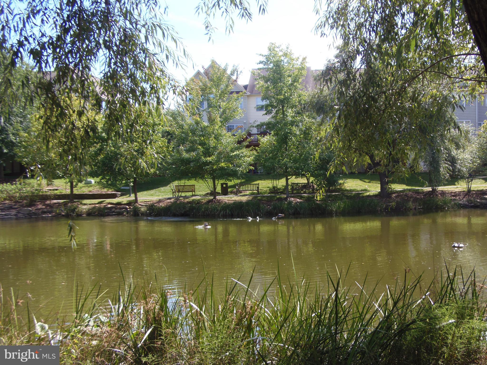 RANDOM HILLS LAND BAY - Residential