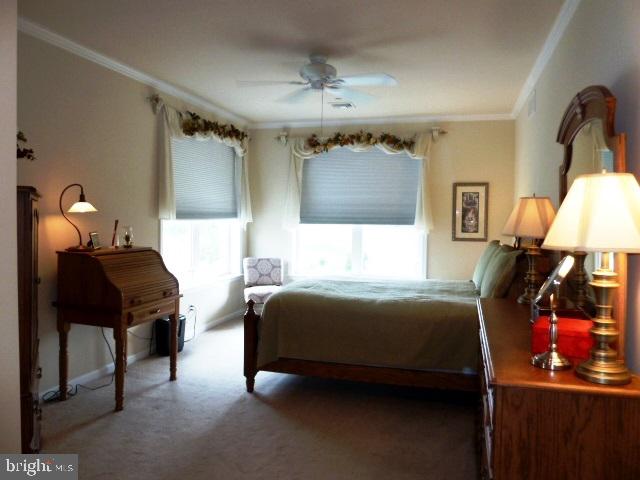 REGENTS GLEN - Residential