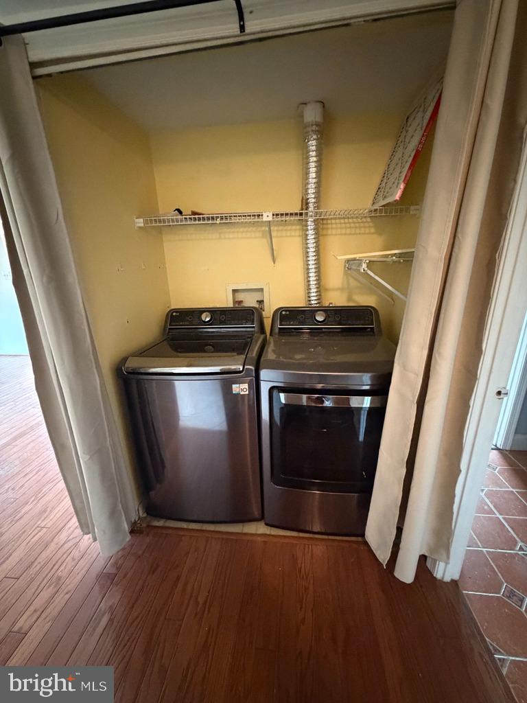 TAMERLANE - Residential Lease