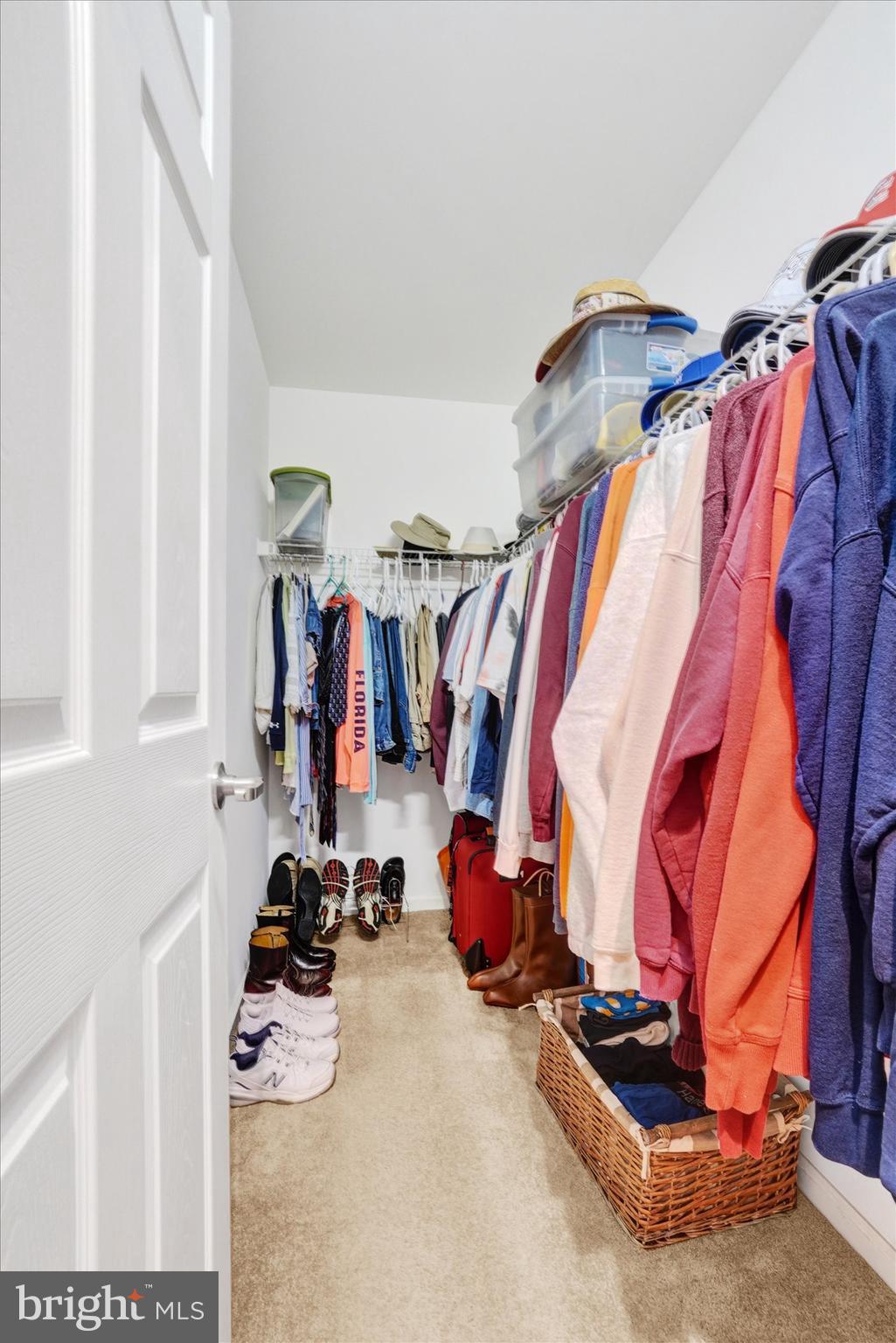 BROGUE - Residential