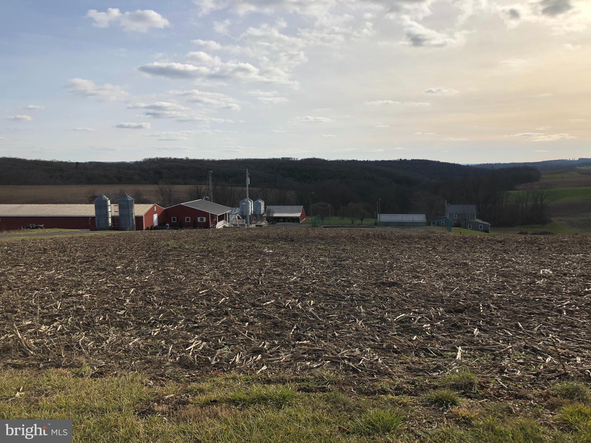 NONE AVAILABLE - Farm