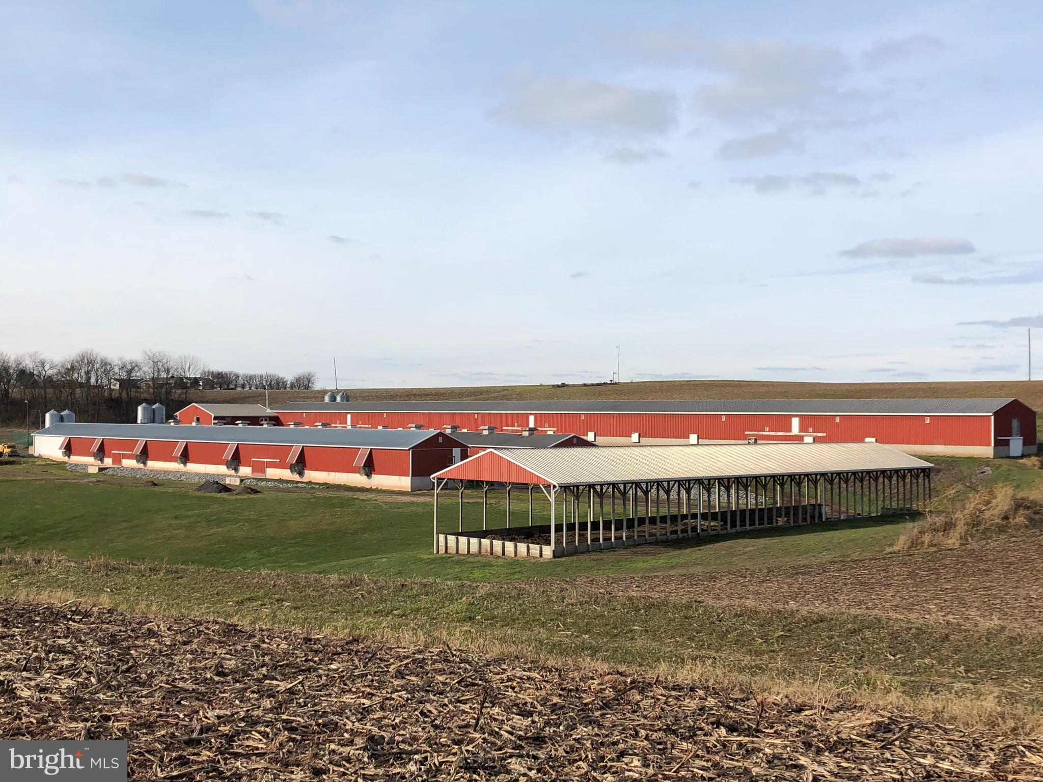 NONE AVAILABLE - Farm