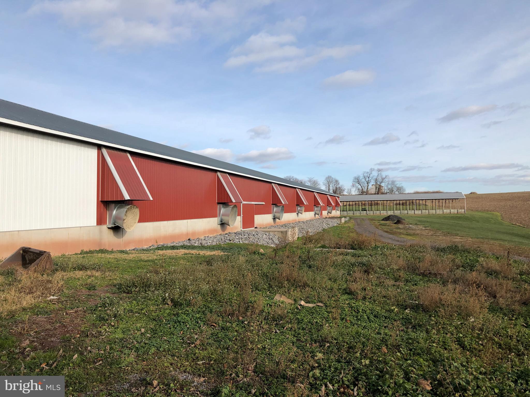 NONE AVAILABLE - Farm