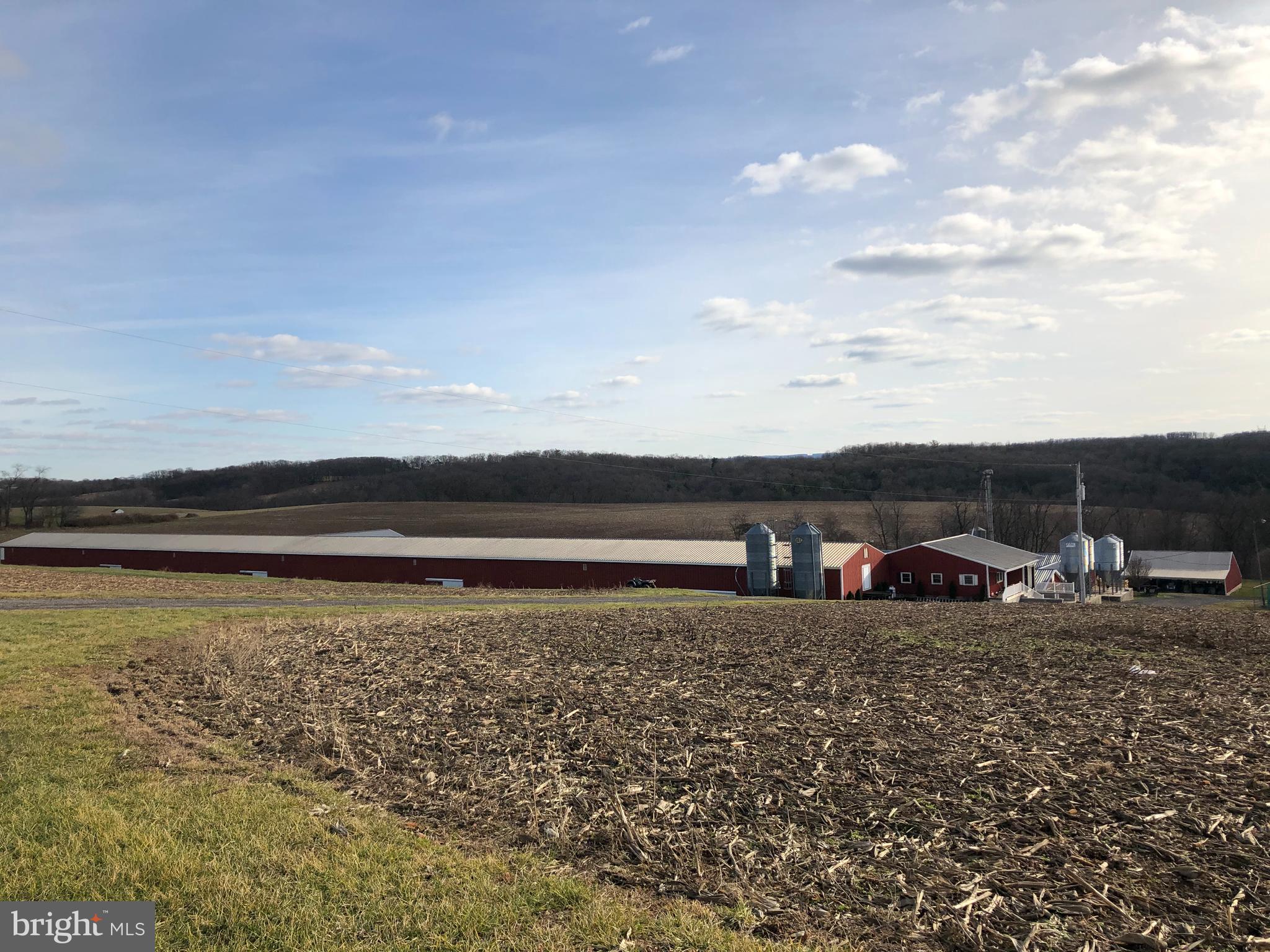 NONE AVAILABLE - Farm