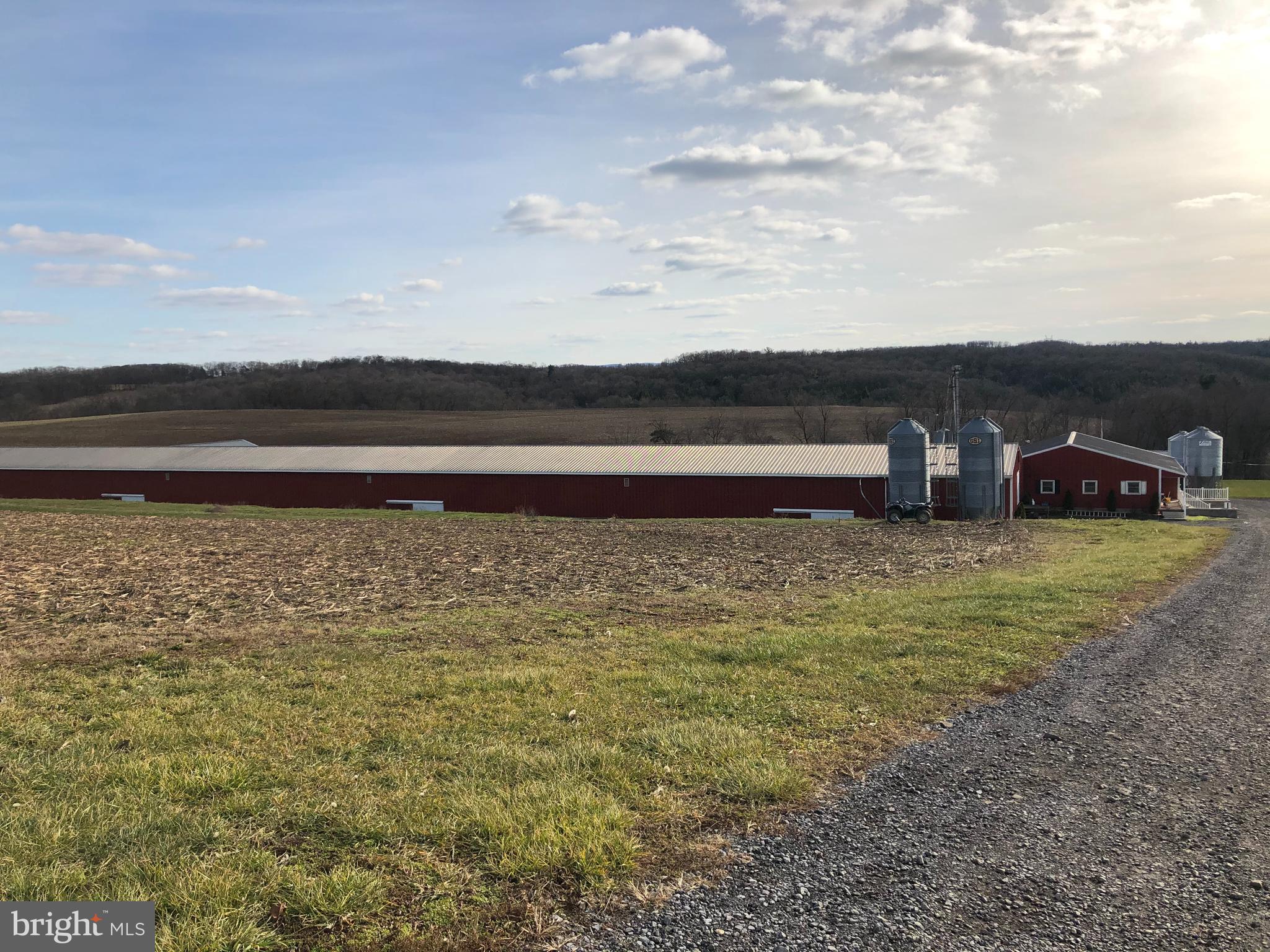 NONE AVAILABLE - Farm