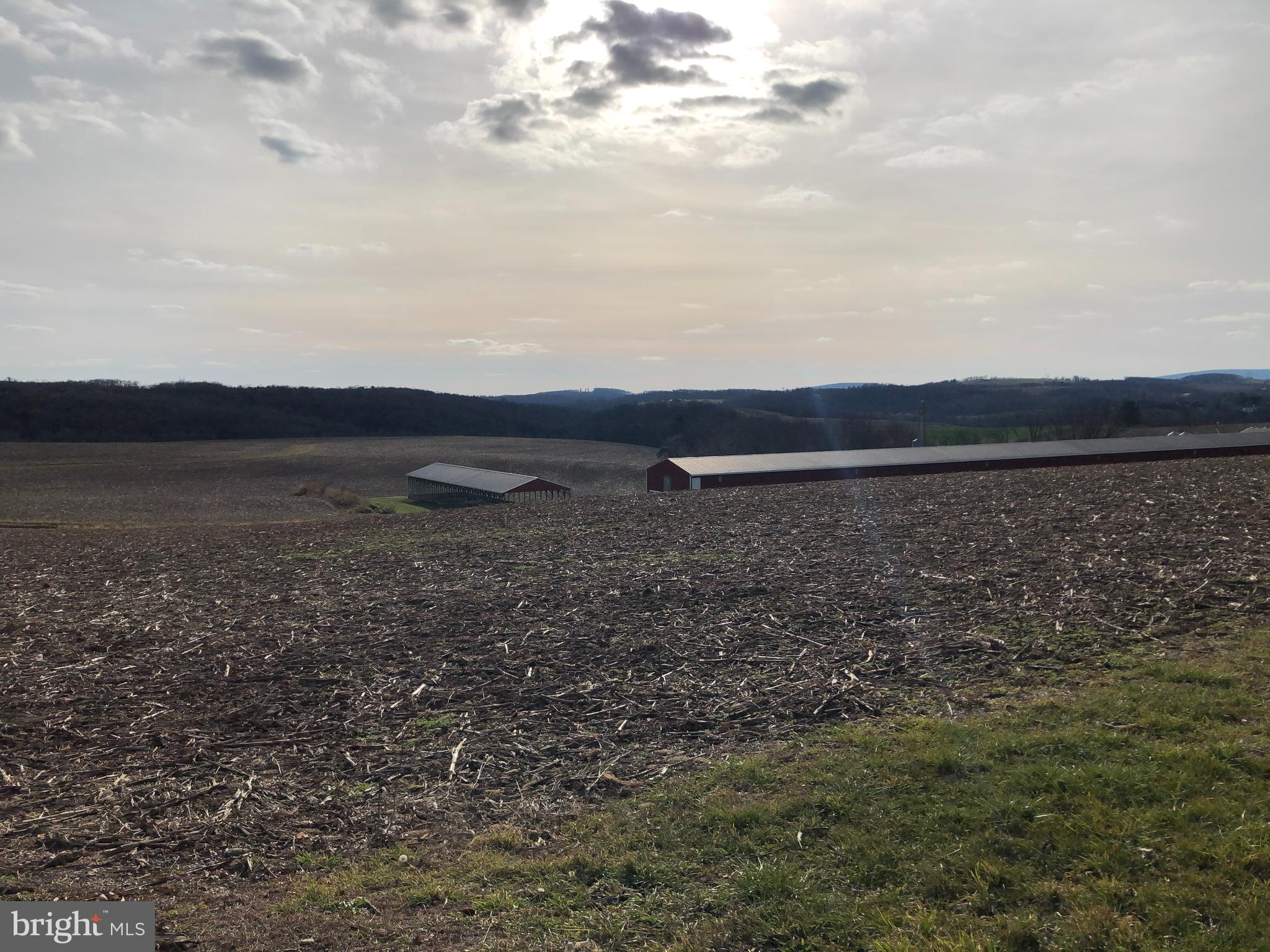 NONE AVAILABLE - Farm