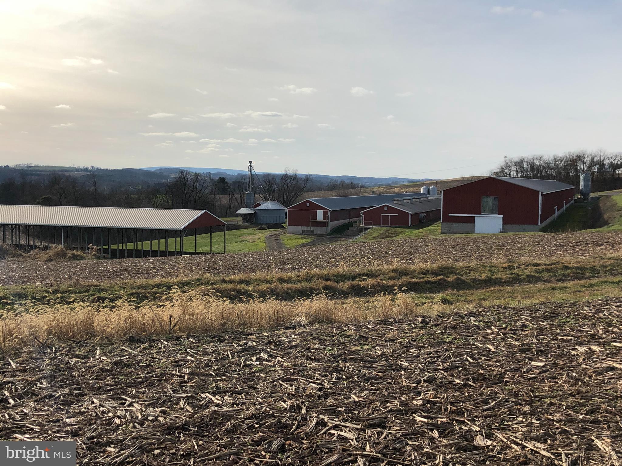 NONE AVAILABLE - Farm