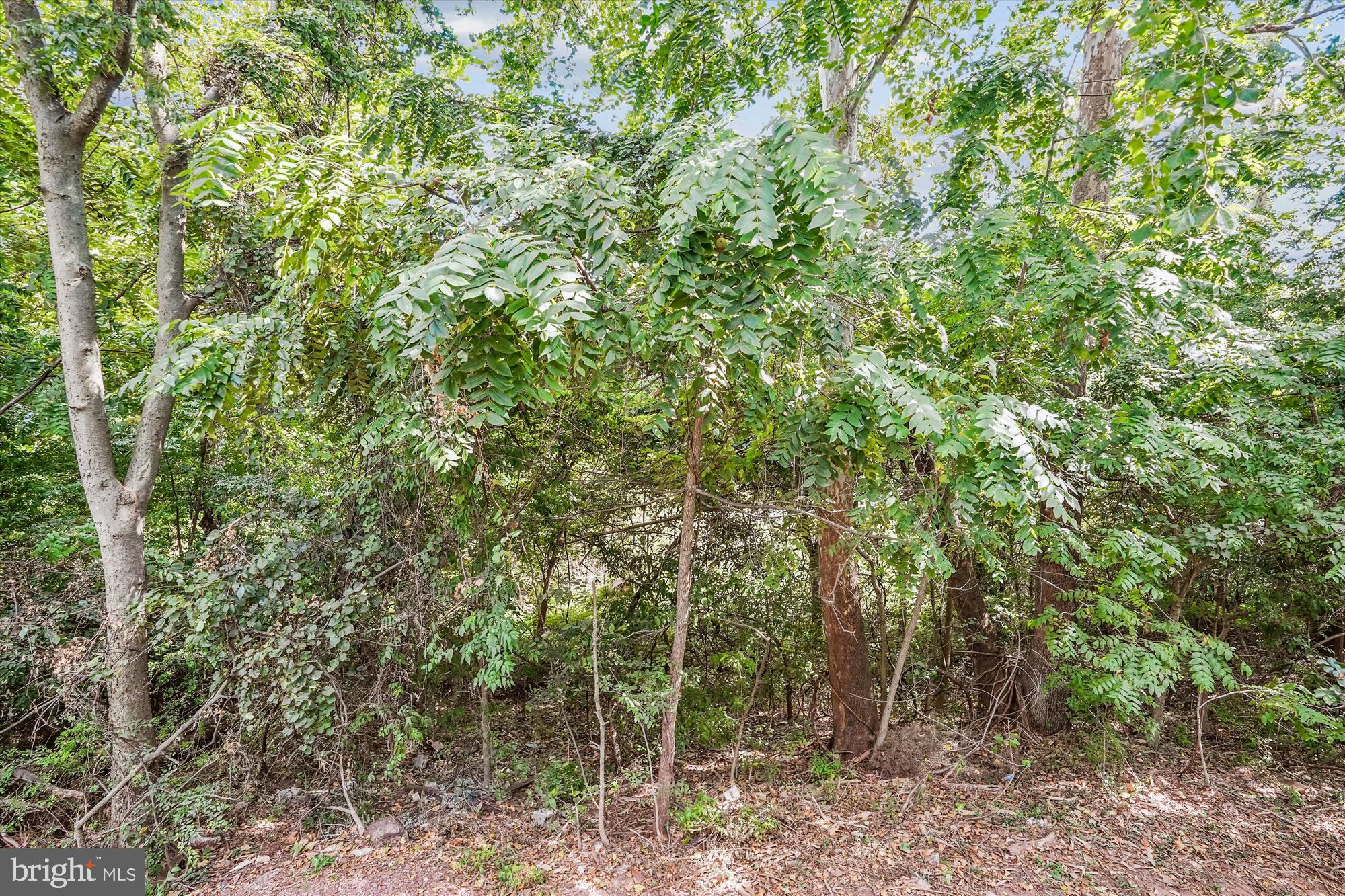 WINDING BROOK - Residential