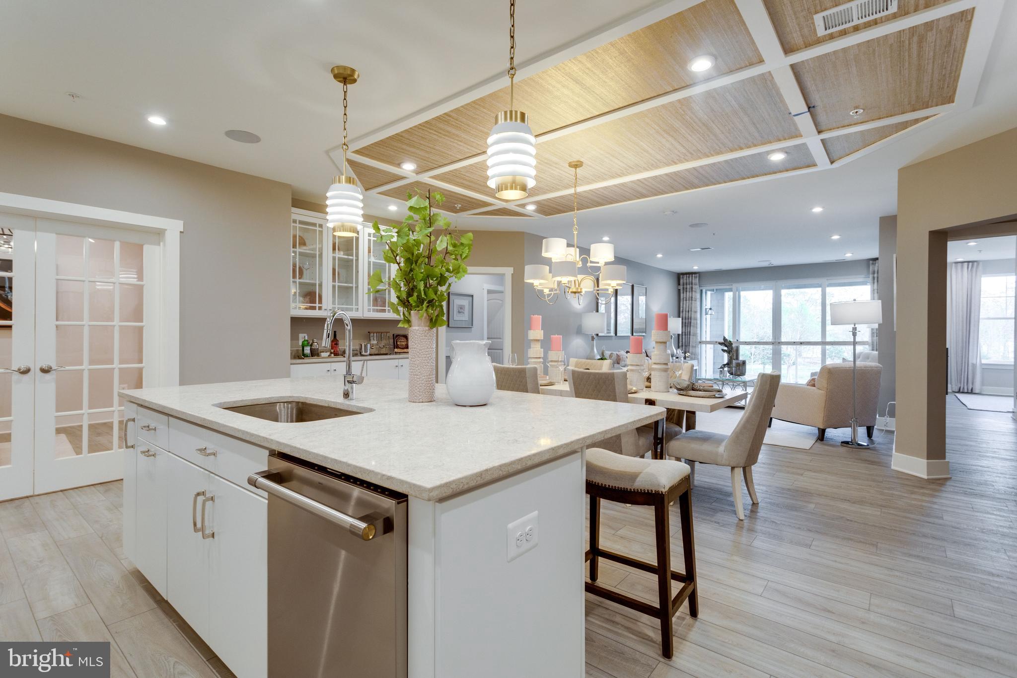 FOUR SEASONS AT KENT ISLAND - Residential