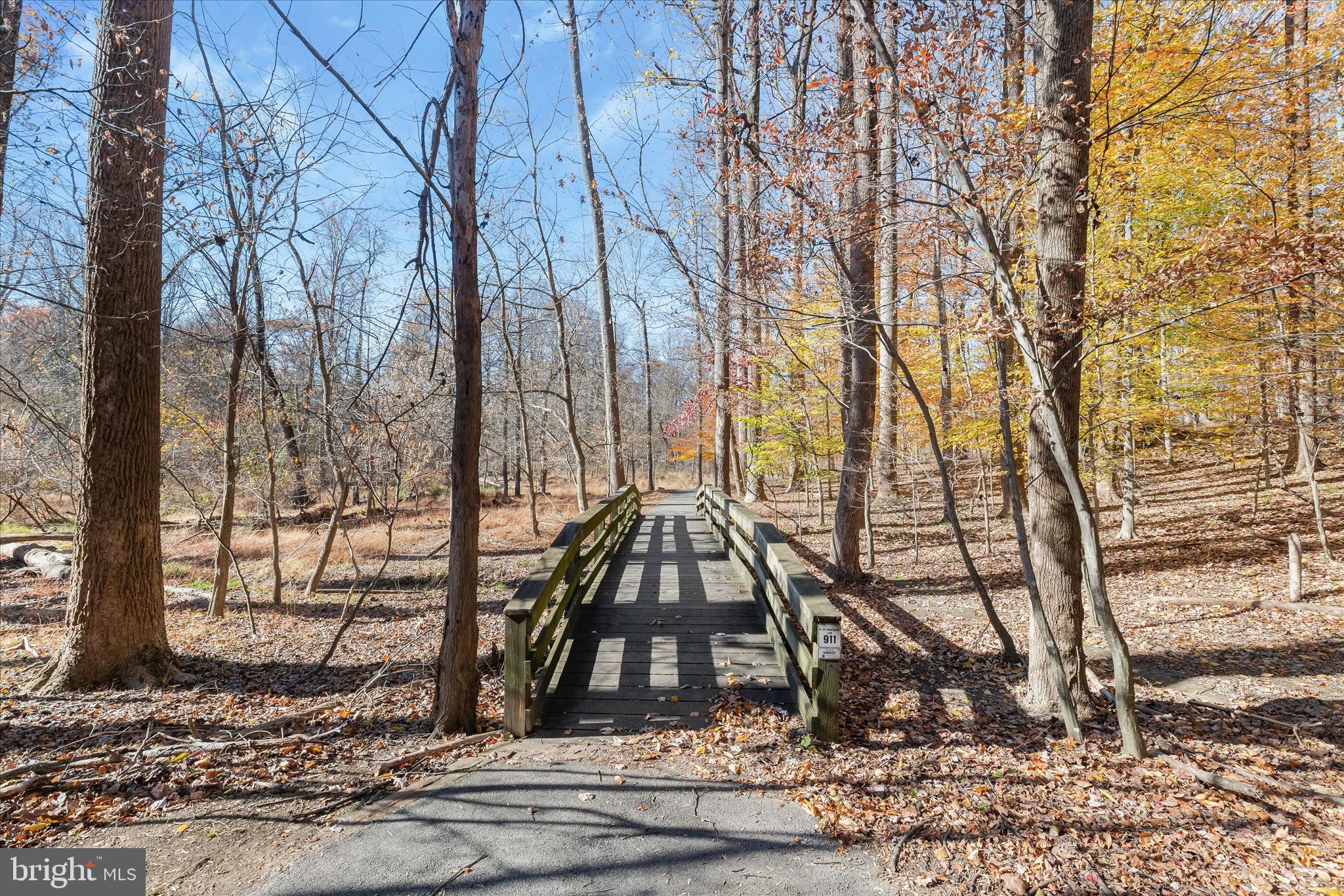 DORSEY SEARCH - Residential