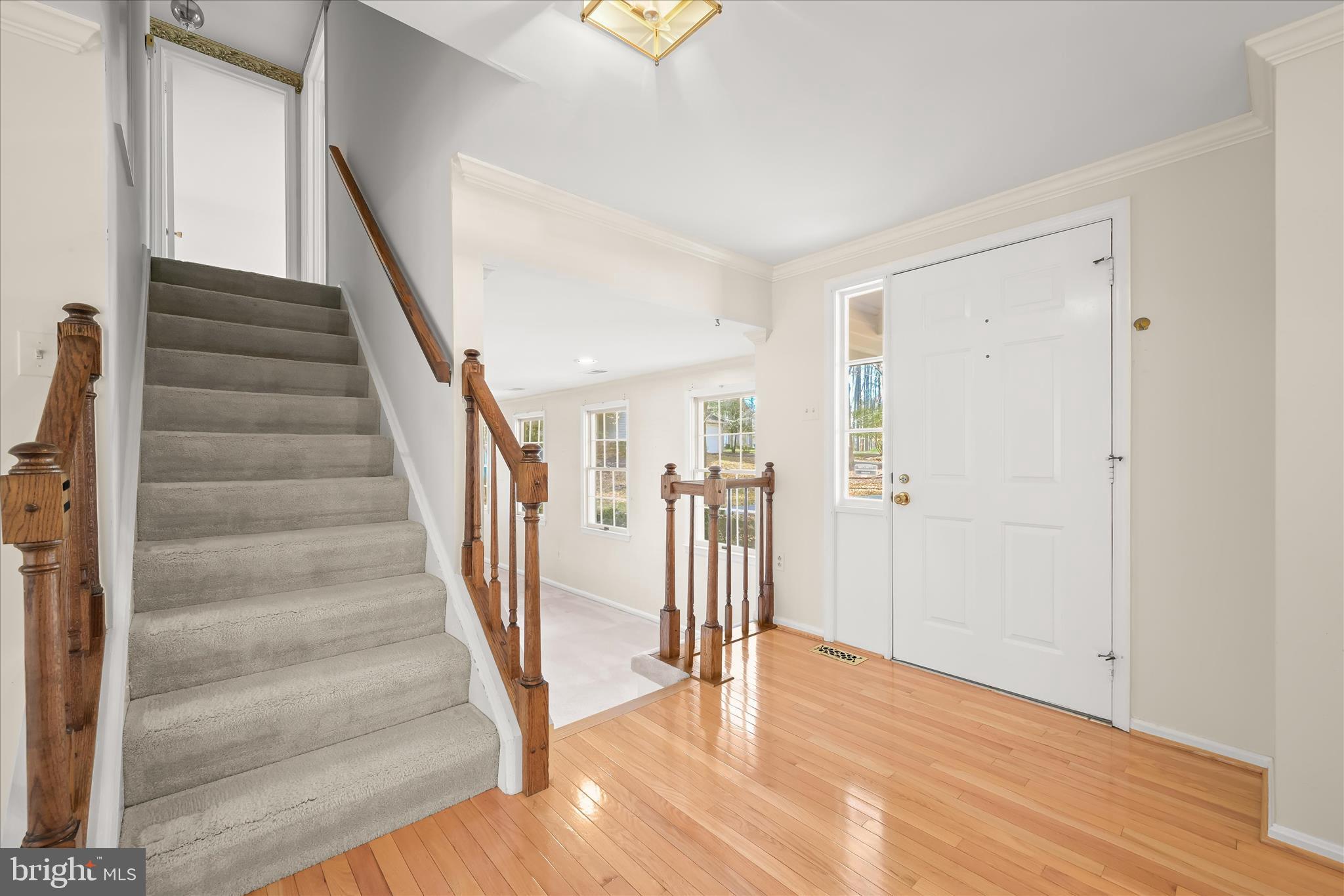 DORSEY SEARCH - Residential