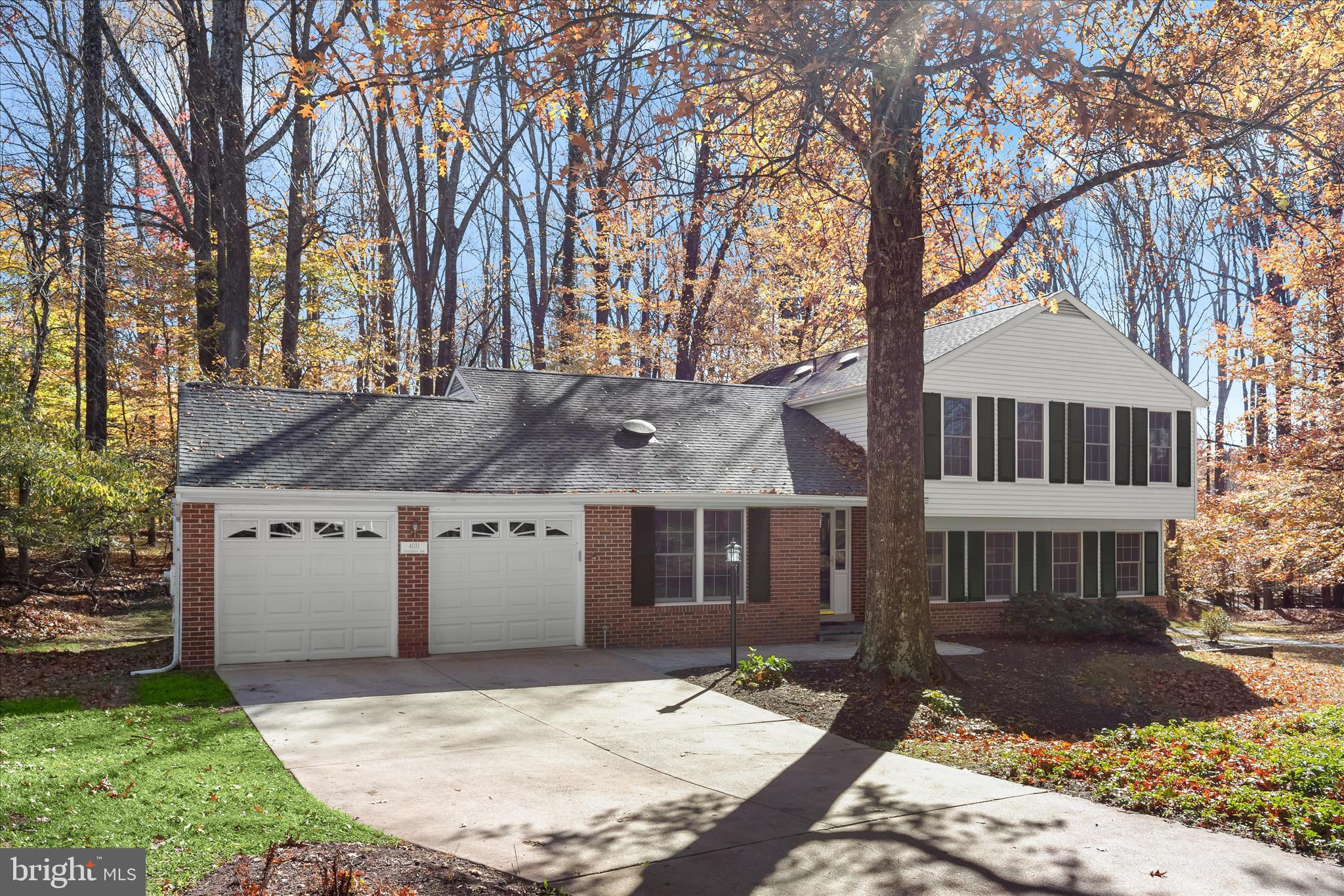 DORSEY SEARCH - Residential