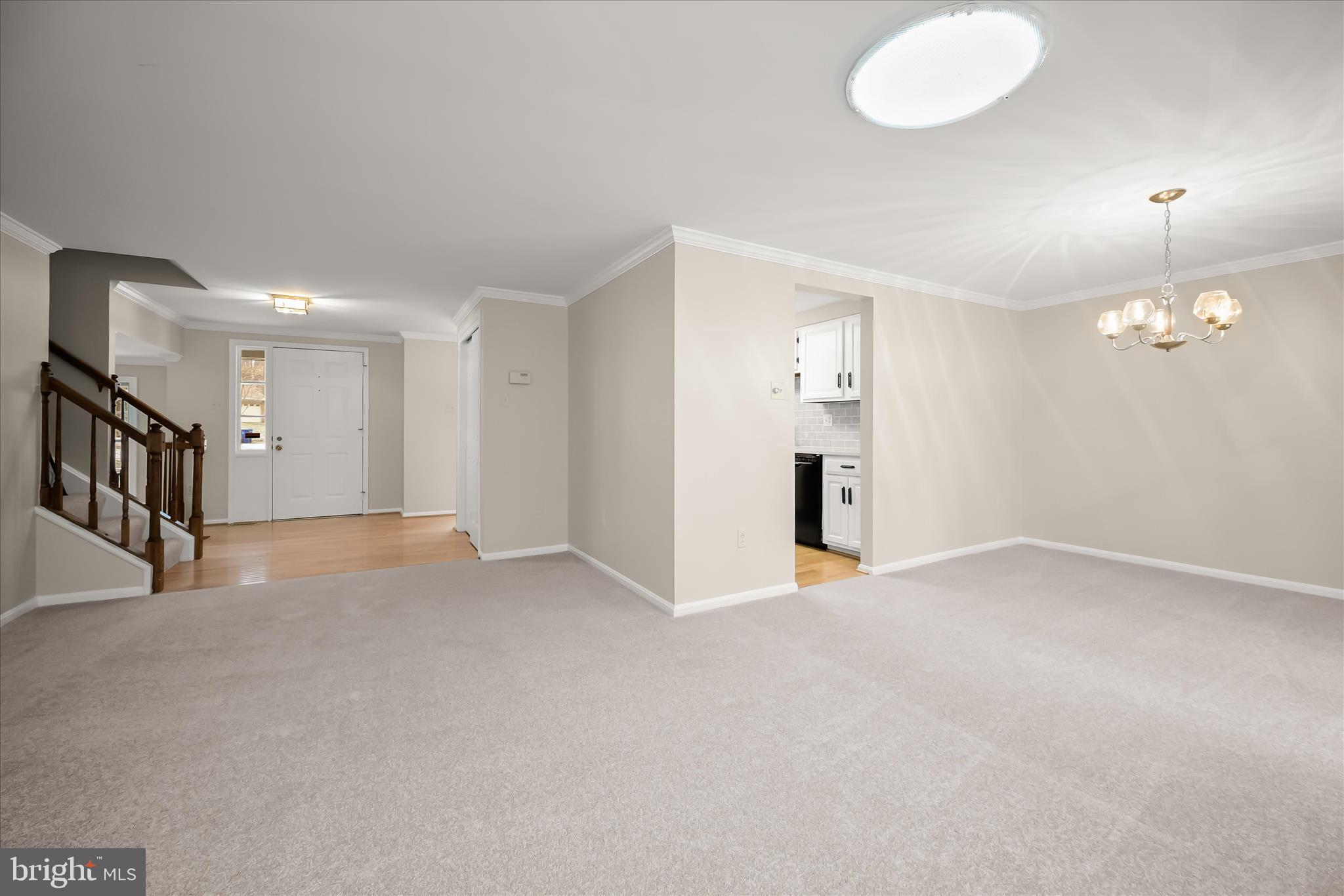 DORSEY SEARCH - Residential