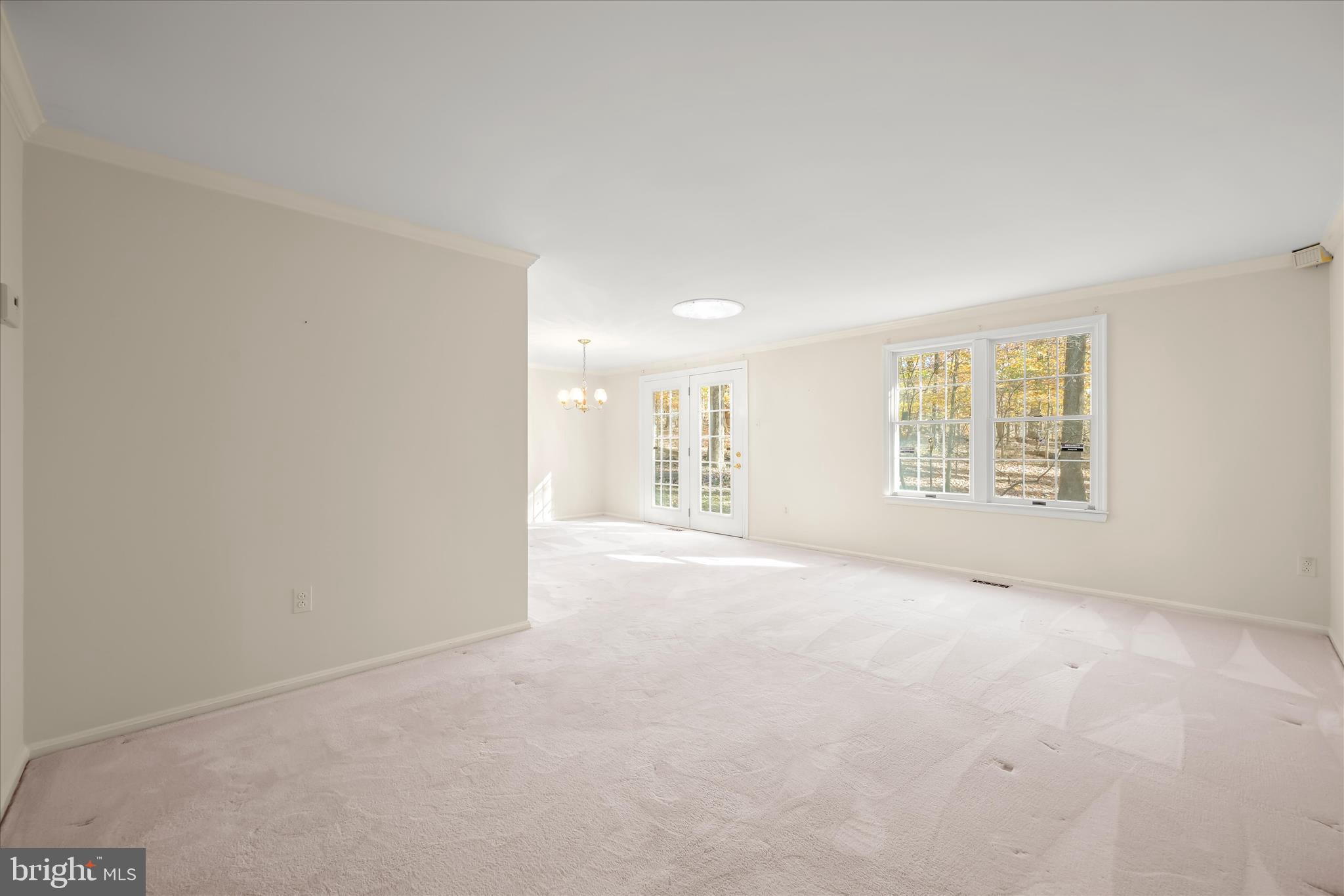 DORSEY SEARCH - Residential