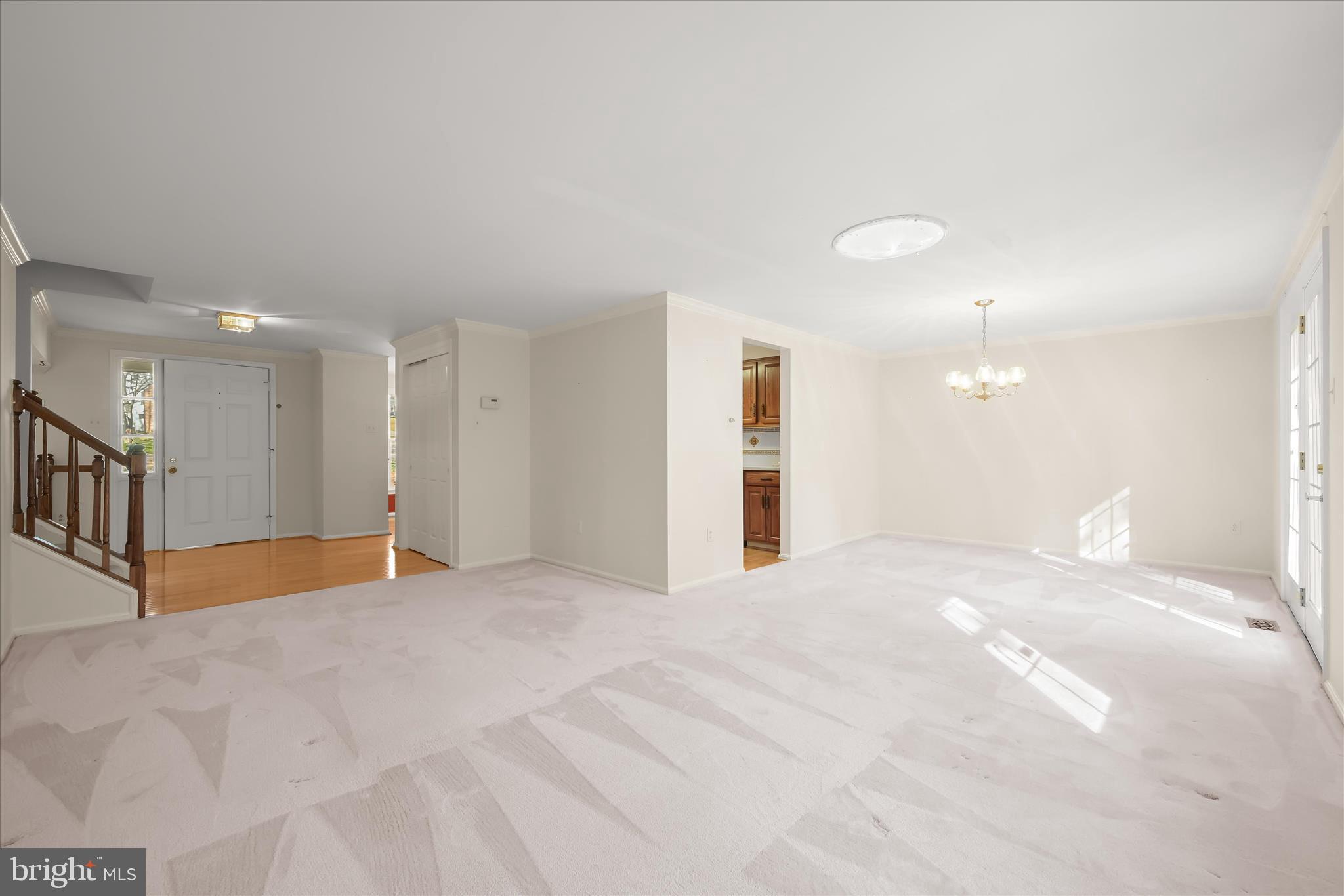 DORSEY SEARCH - Residential