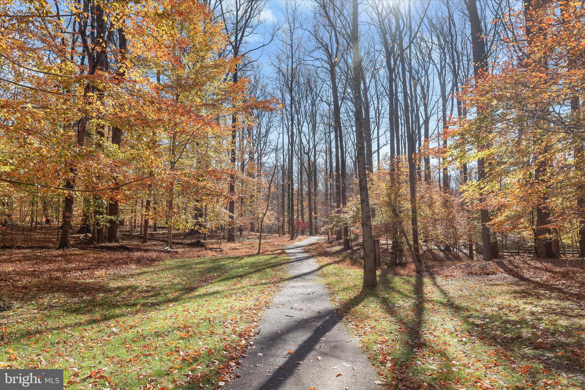 DORSEY SEARCH - Residential