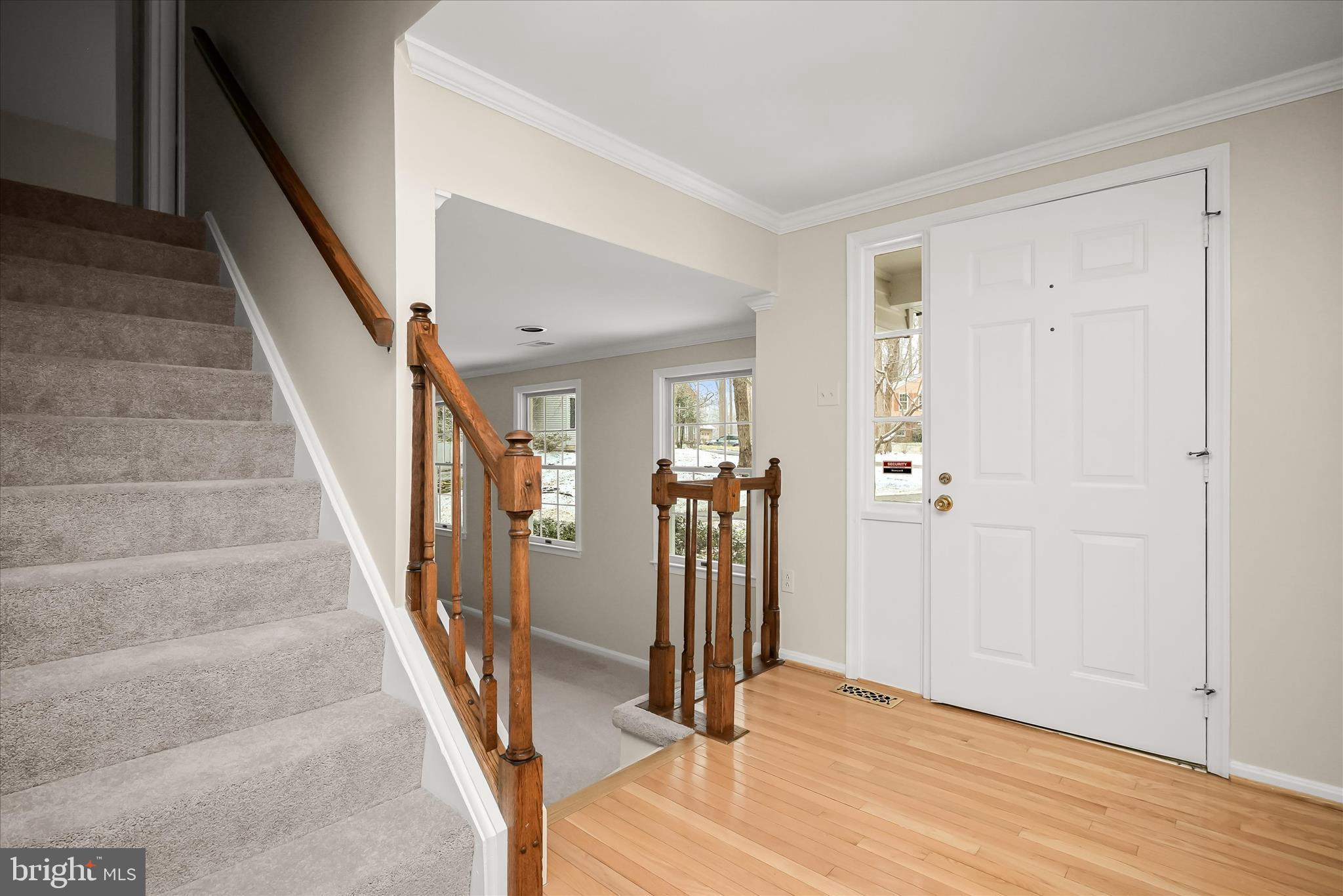 DORSEY SEARCH - Residential