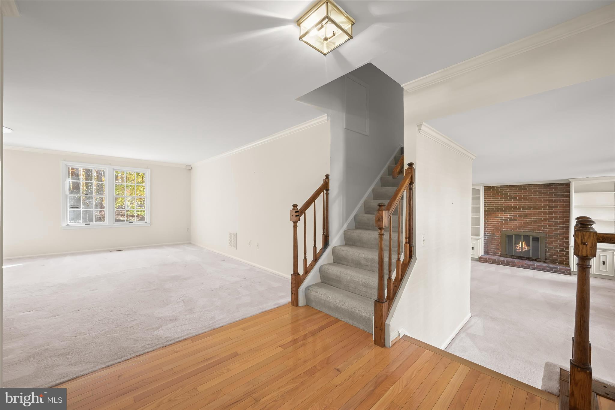 DORSEY SEARCH - Residential