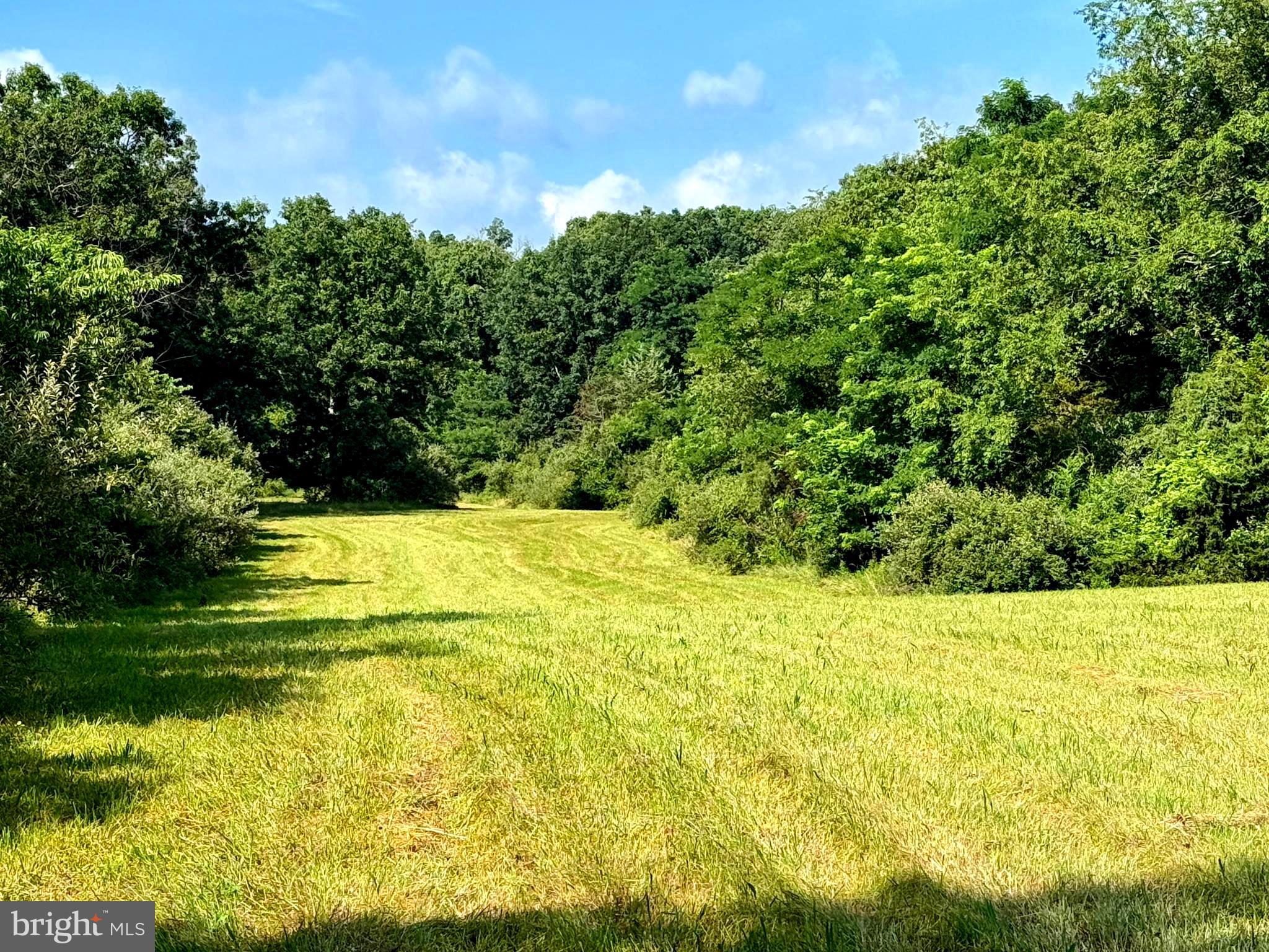 UNRESTRICTED LAND - Land