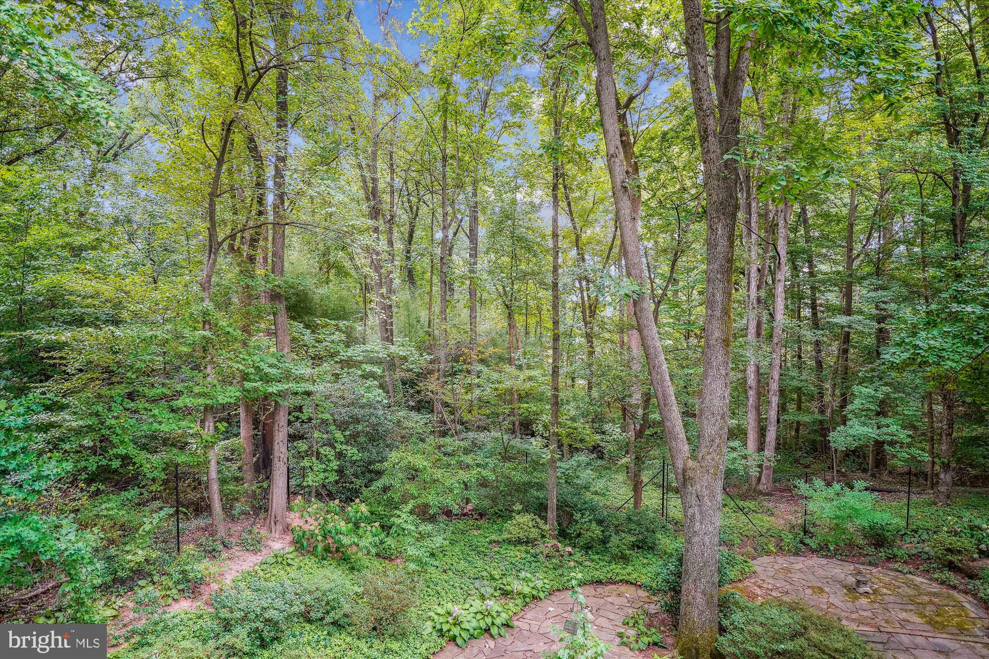 CARDEROCK SPRINGS - Residential