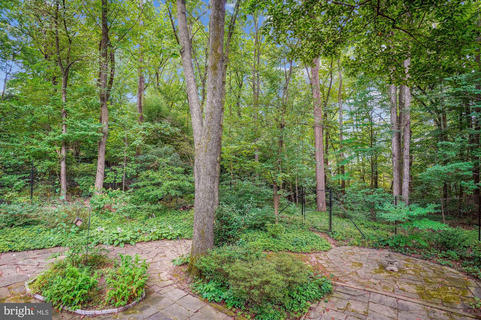 CARDEROCK SPRINGS - Residential