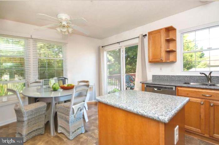 VILLAGE  OF PAINTERS MILL - Residential