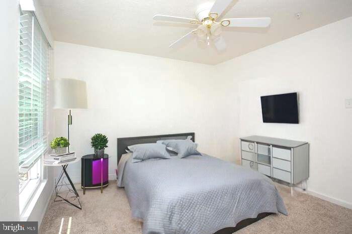 VILLAGE  OF PAINTERS MILL - Residential