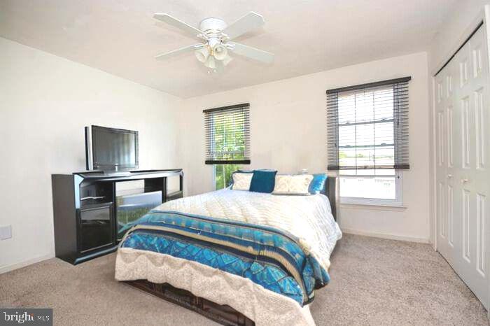 VILLAGE  OF PAINTERS MILL - Residential