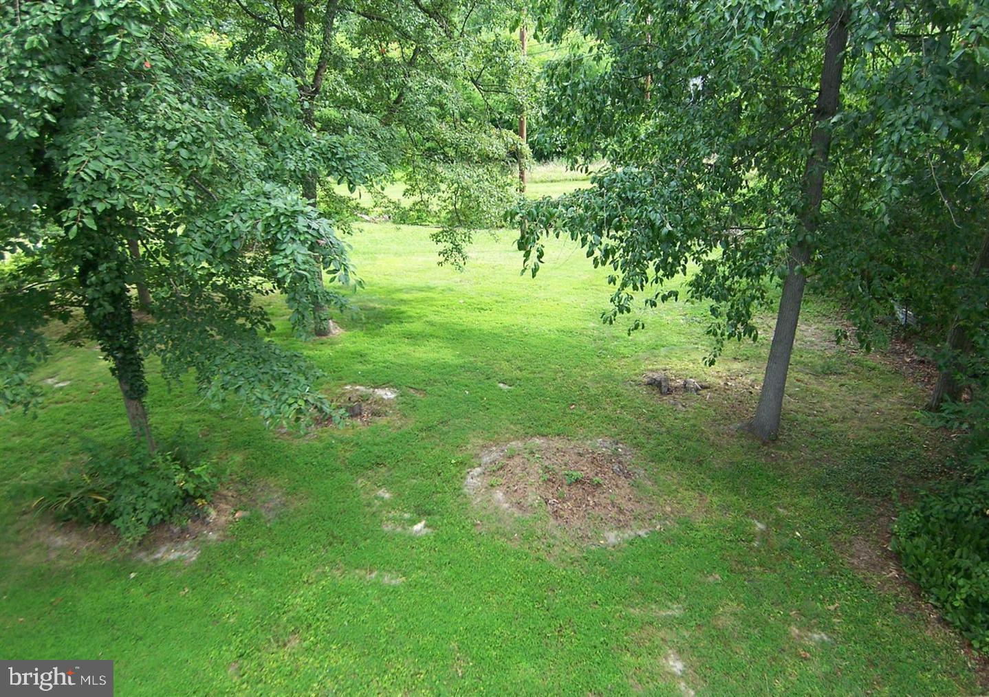 MAGNOLIA - Residential Lease