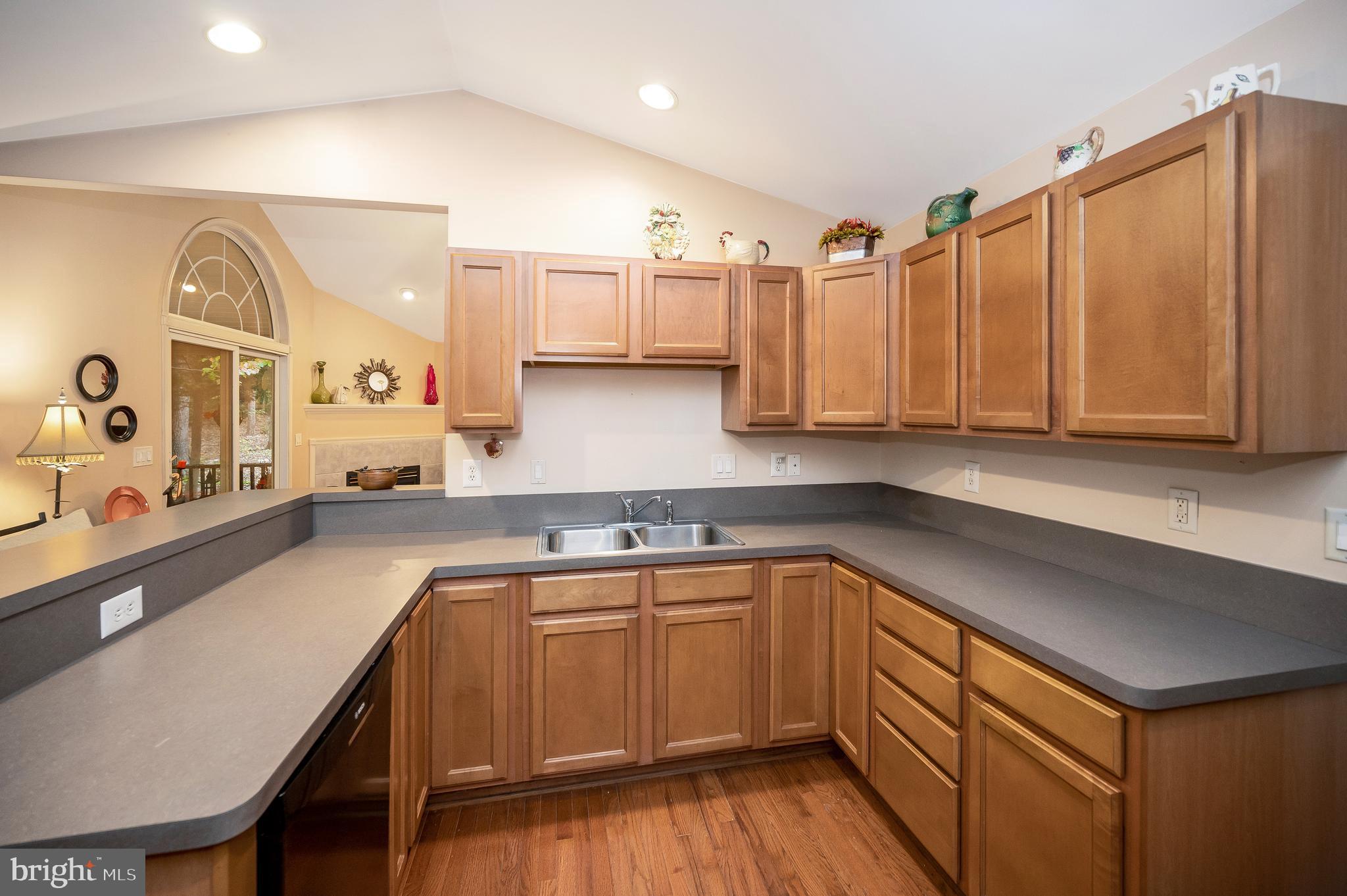 LAKE OF THE WOODS - Residential