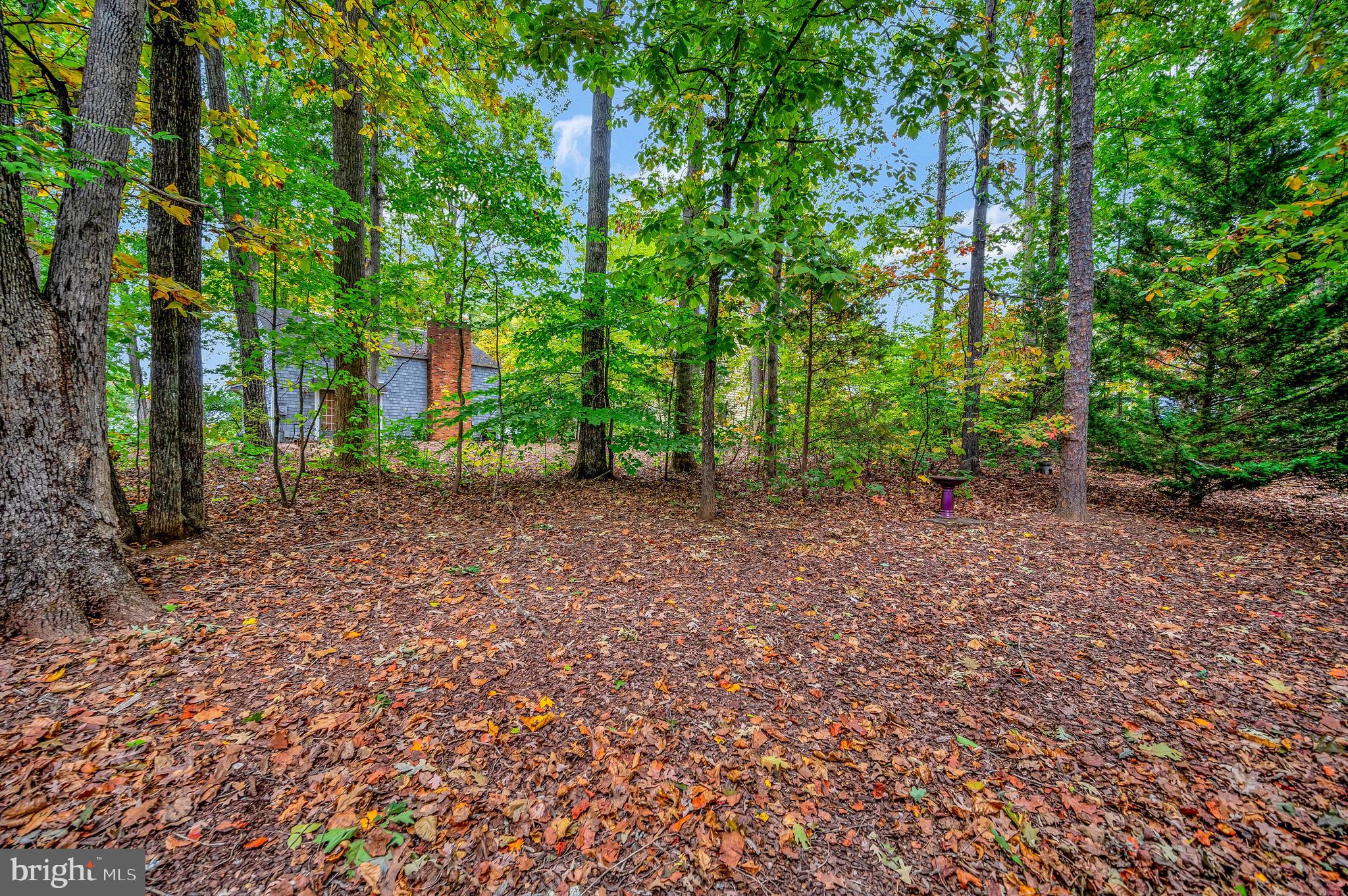 LAKE OF THE WOODS - Residential