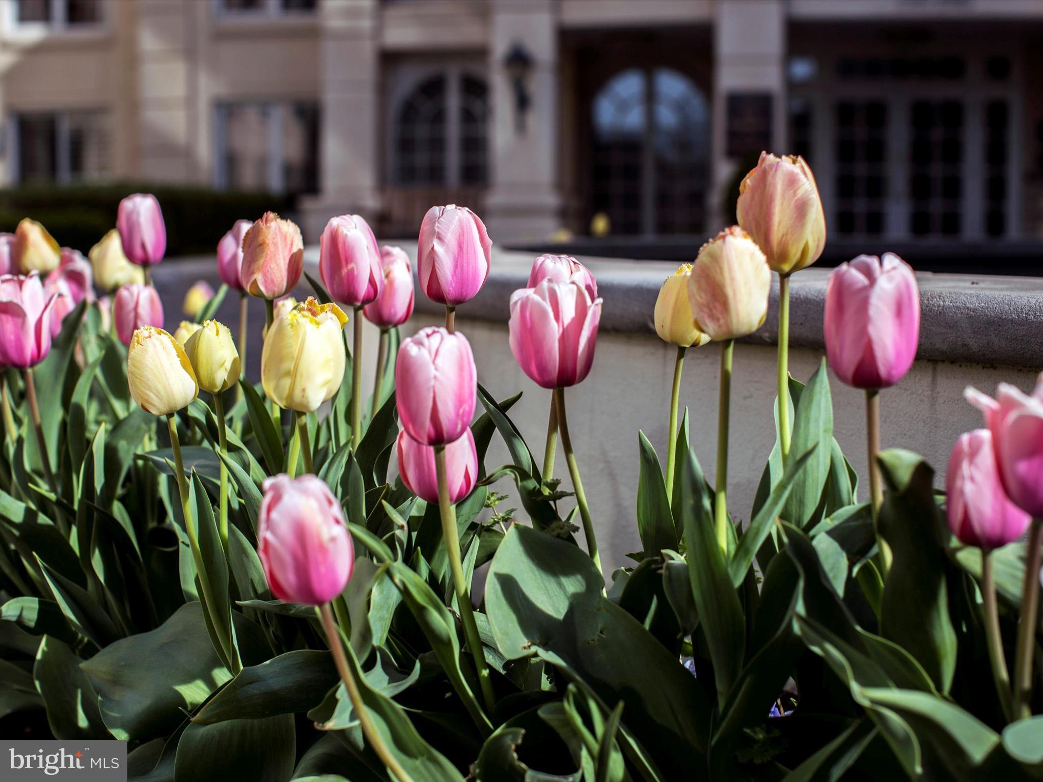 PARK PLACE - Residential