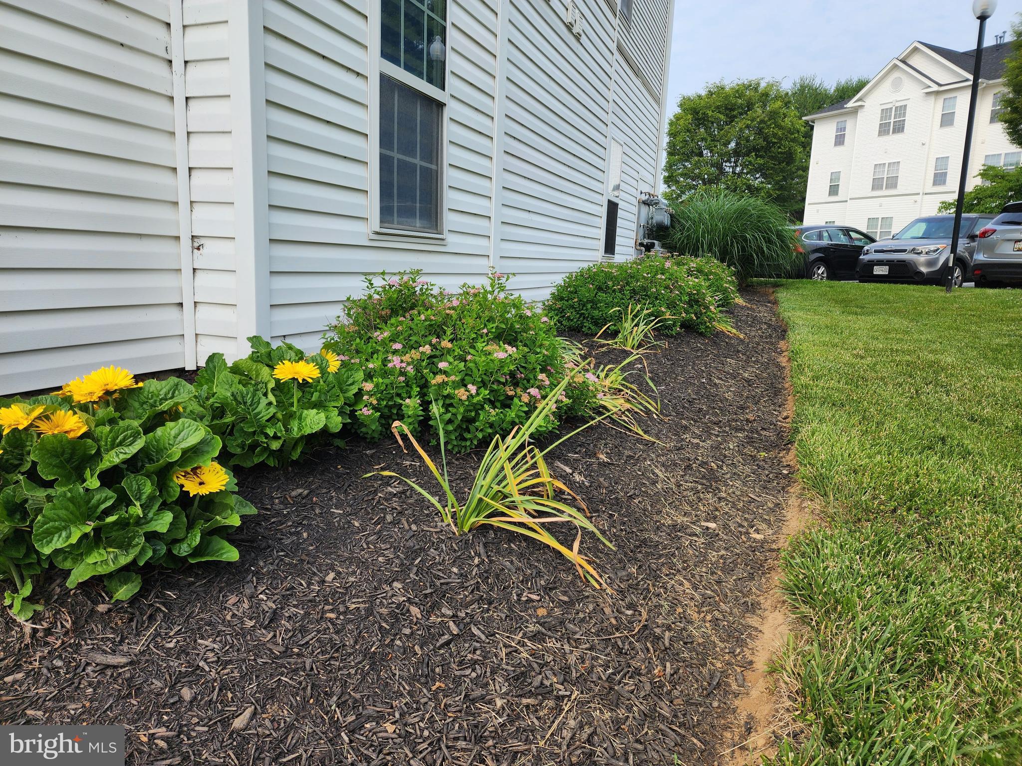 POTOMAC RIDGE - Residential Lease