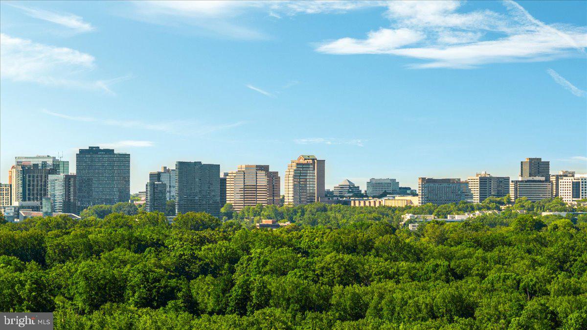 GEORGETOWN PIKE - Residential