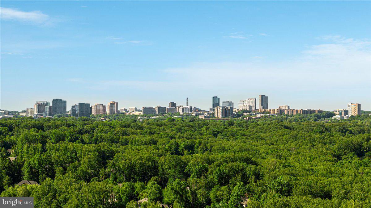 GEORGETOWN PIKE - Residential