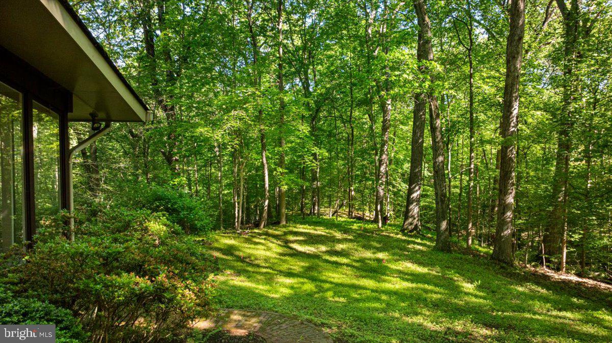 GEORGETOWN PIKE - Residential