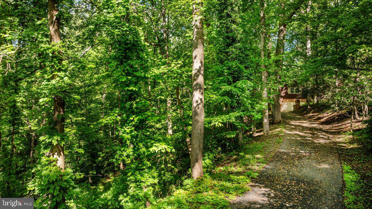 GEORGETOWN PIKE - Residential