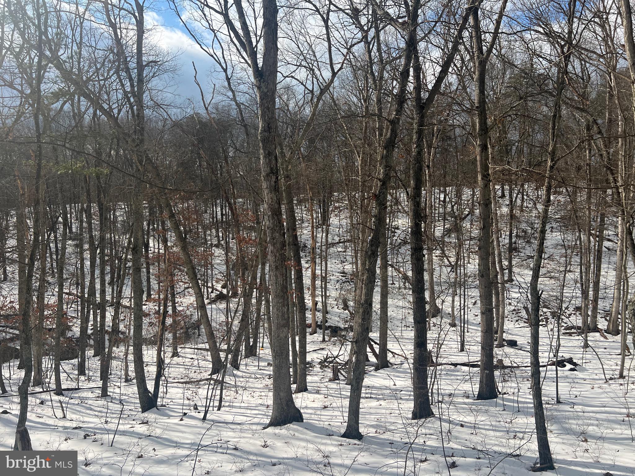 SLEEPY CREEK FOREST - Residential
