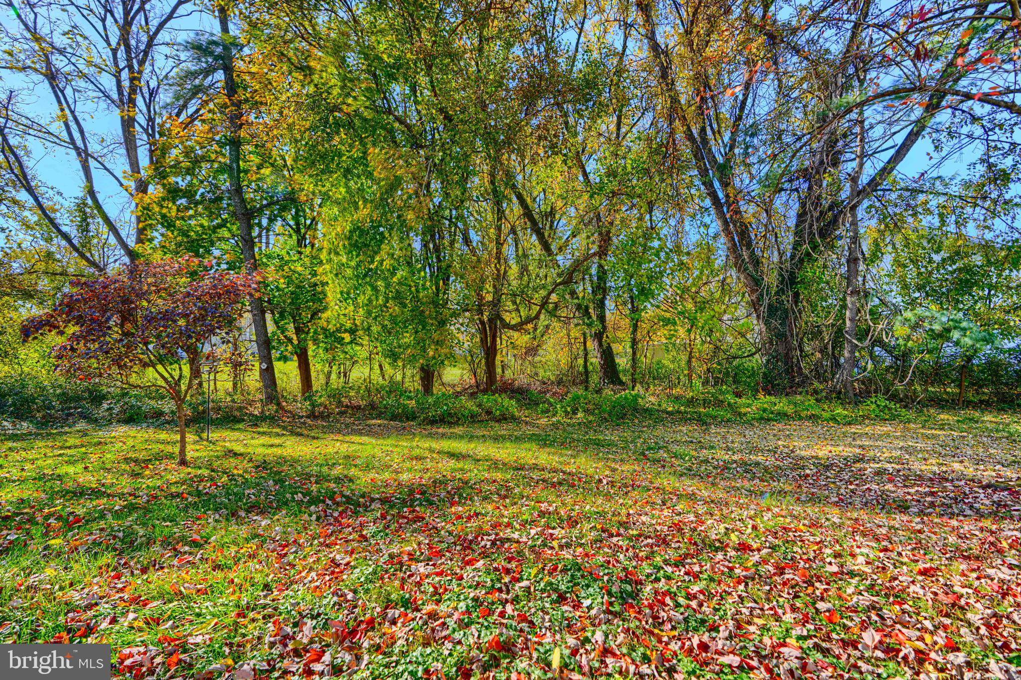 HUNT MEADOW - Residential