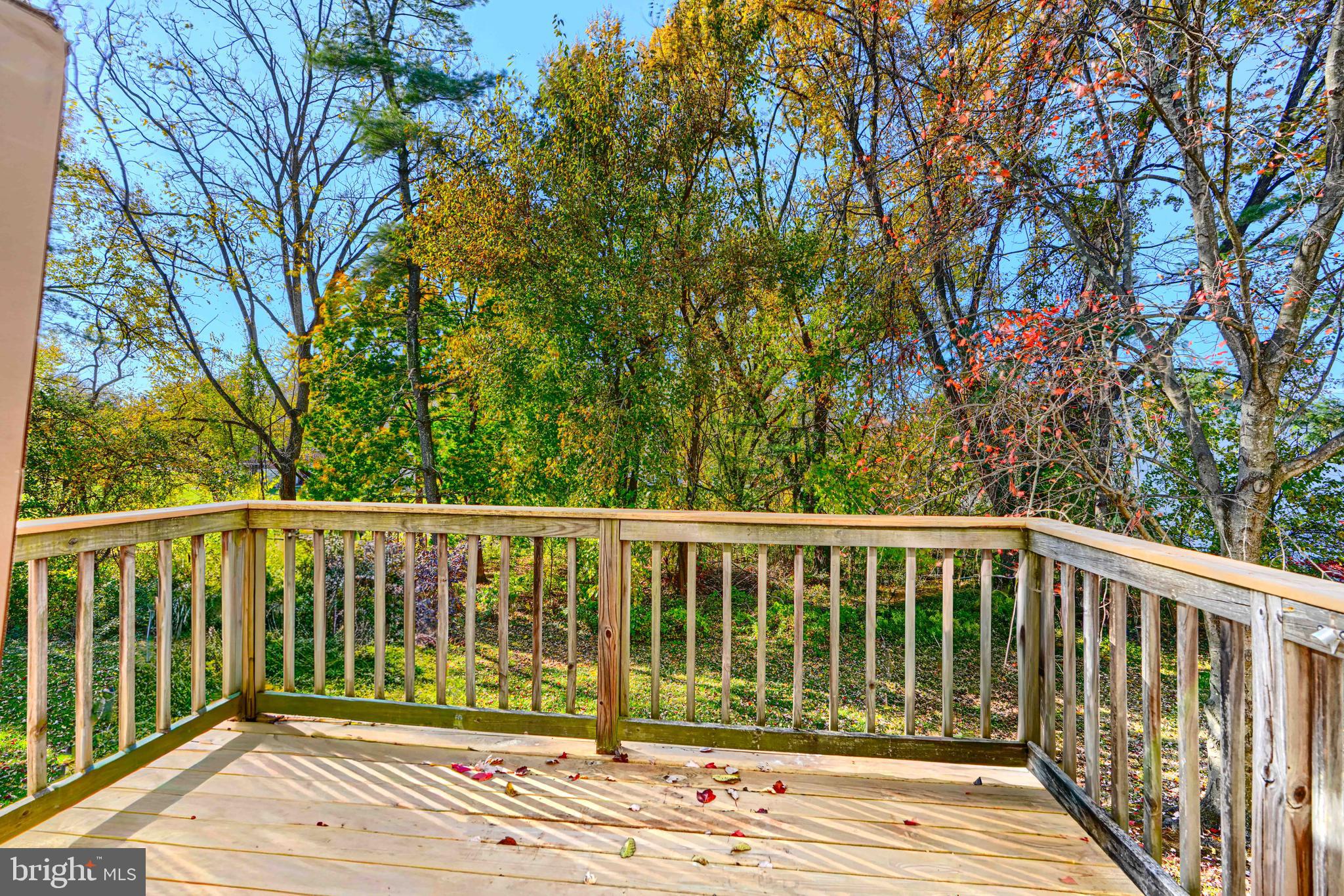 HUNT MEADOW - Residential