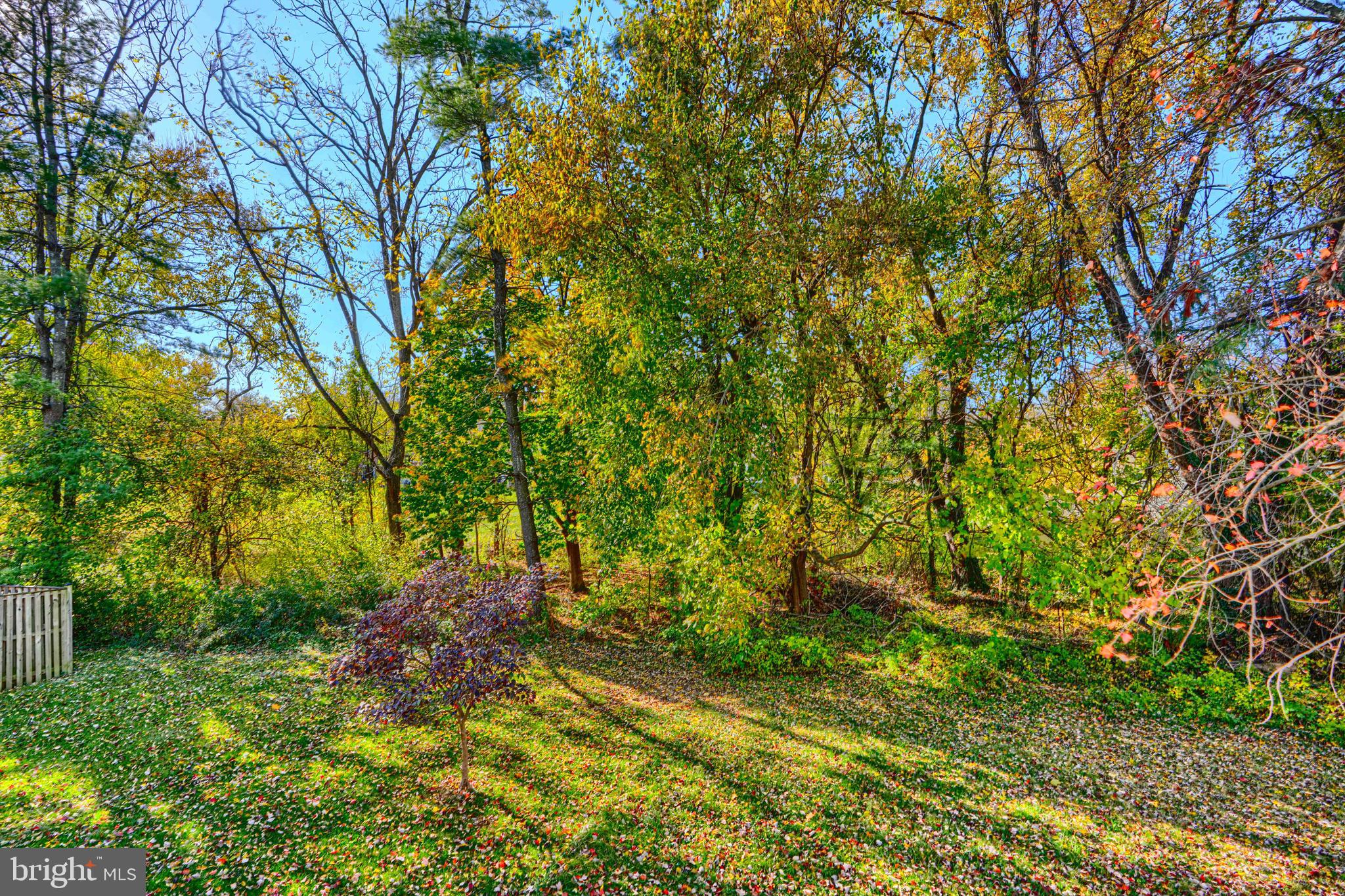 HUNT MEADOW - Residential