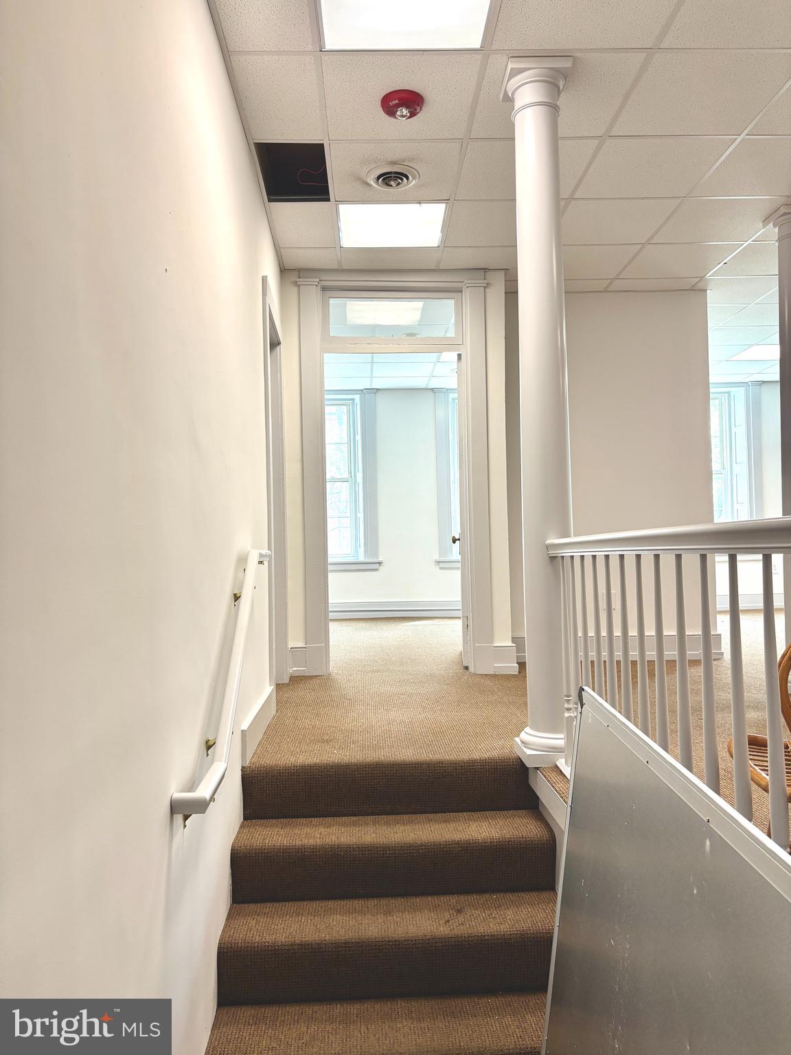 37 E ORANGE STREET 303