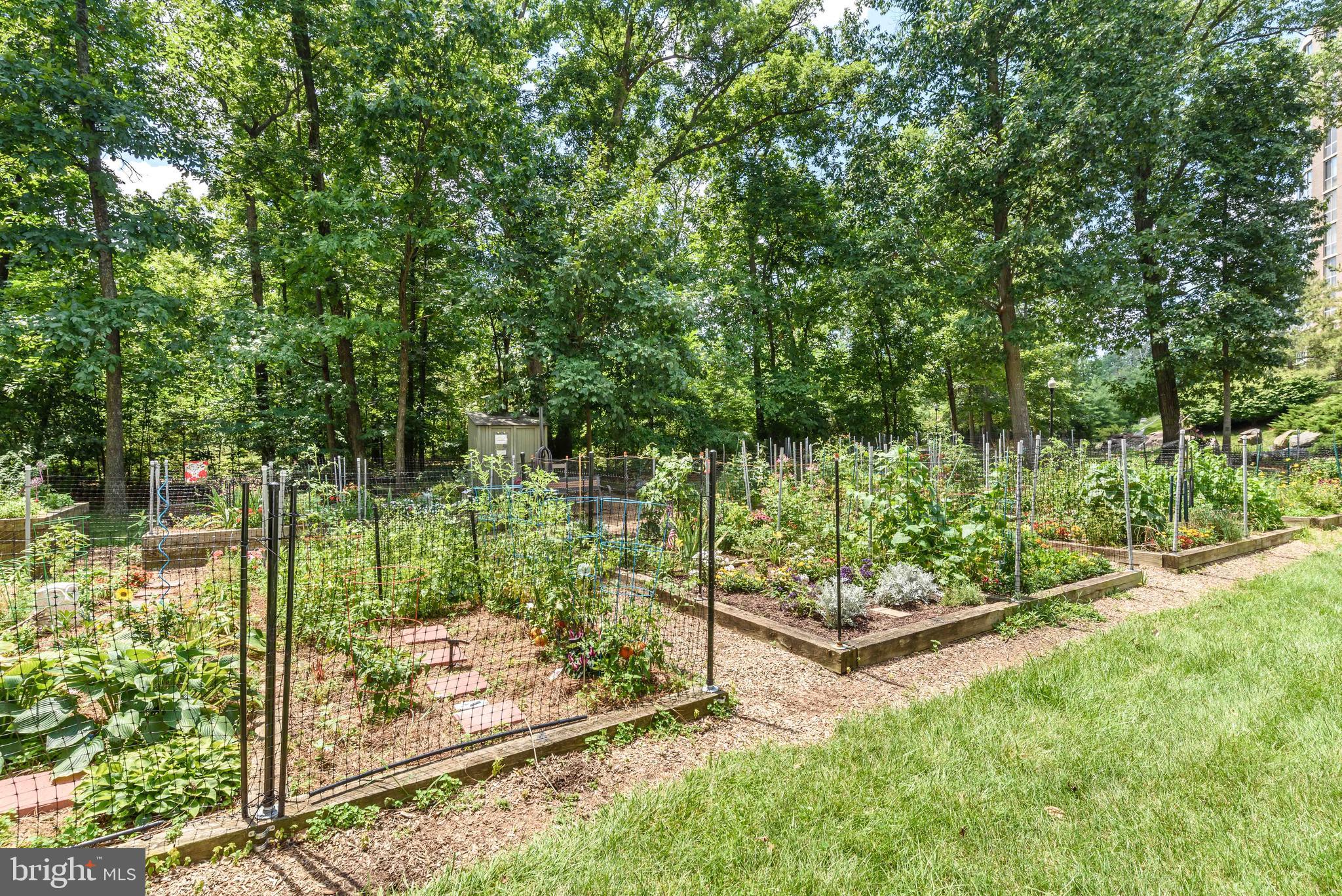 LANSDOWNE WOODS - Residential