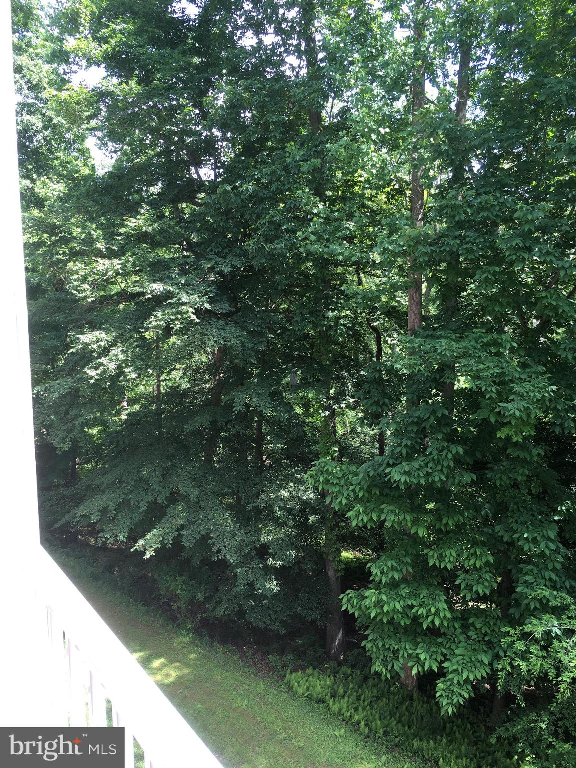 OVERLOOK AT MACPHAIL WOODS - Residential Lease