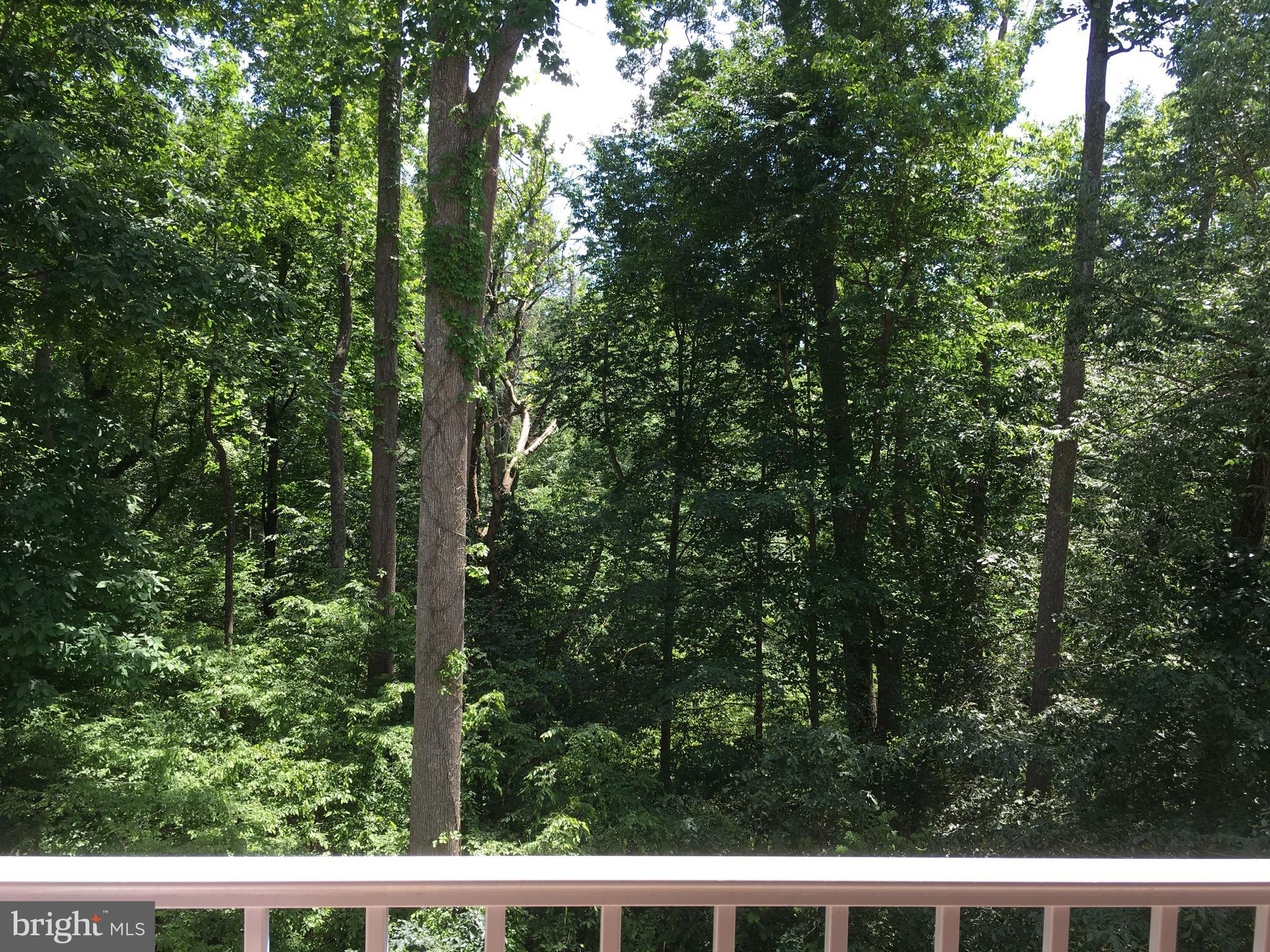 OVERLOOK AT MACPHAIL WOODS - Residential Lease