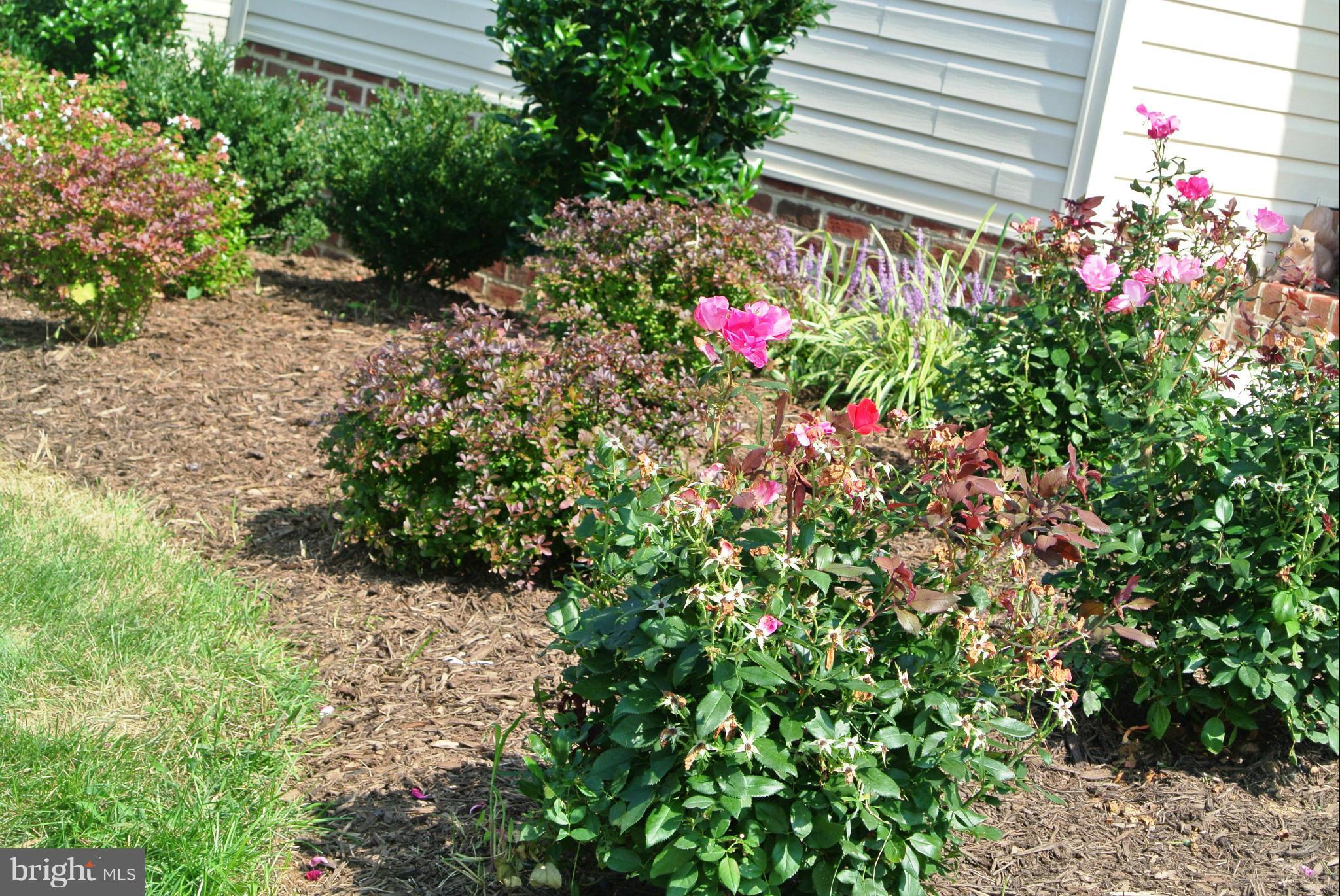 JOY CHAPEL - Residential Lease