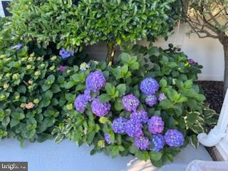 CAMDEN AVE. - Residential