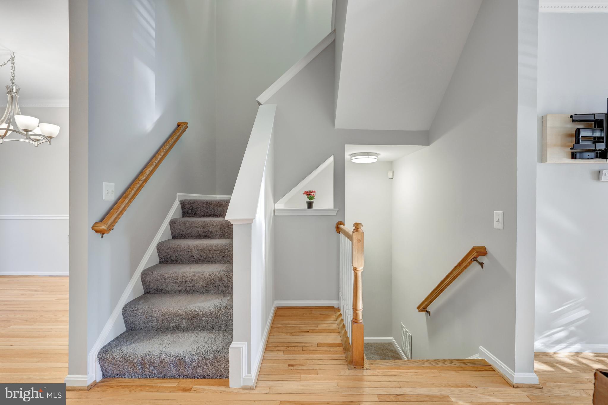 POTOMAC STATION - Residential