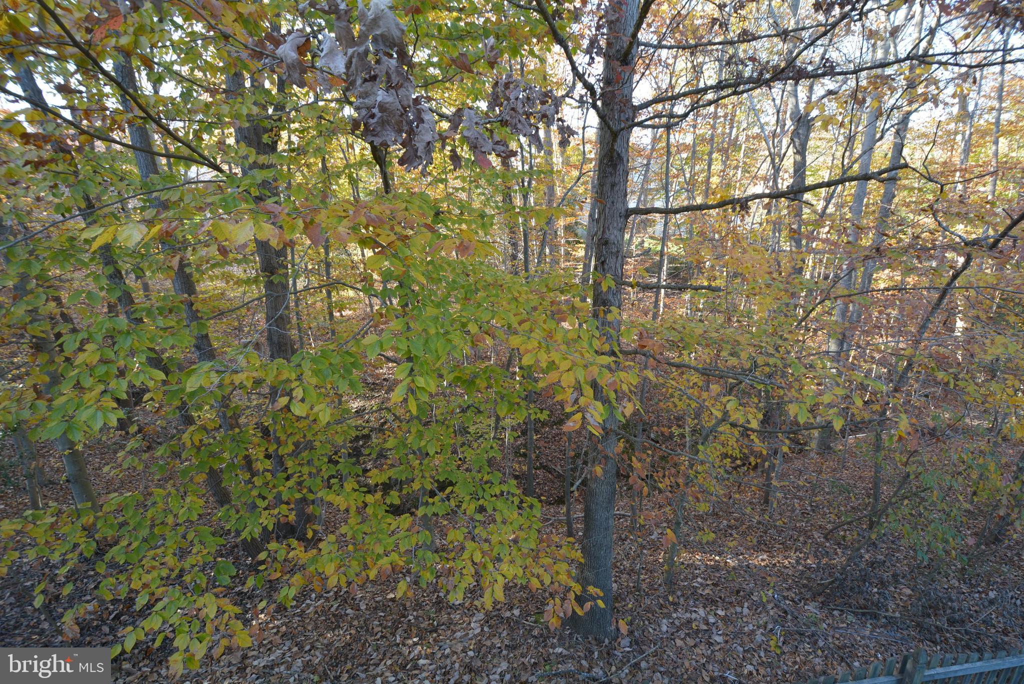 CARDINAL CREST - Residential