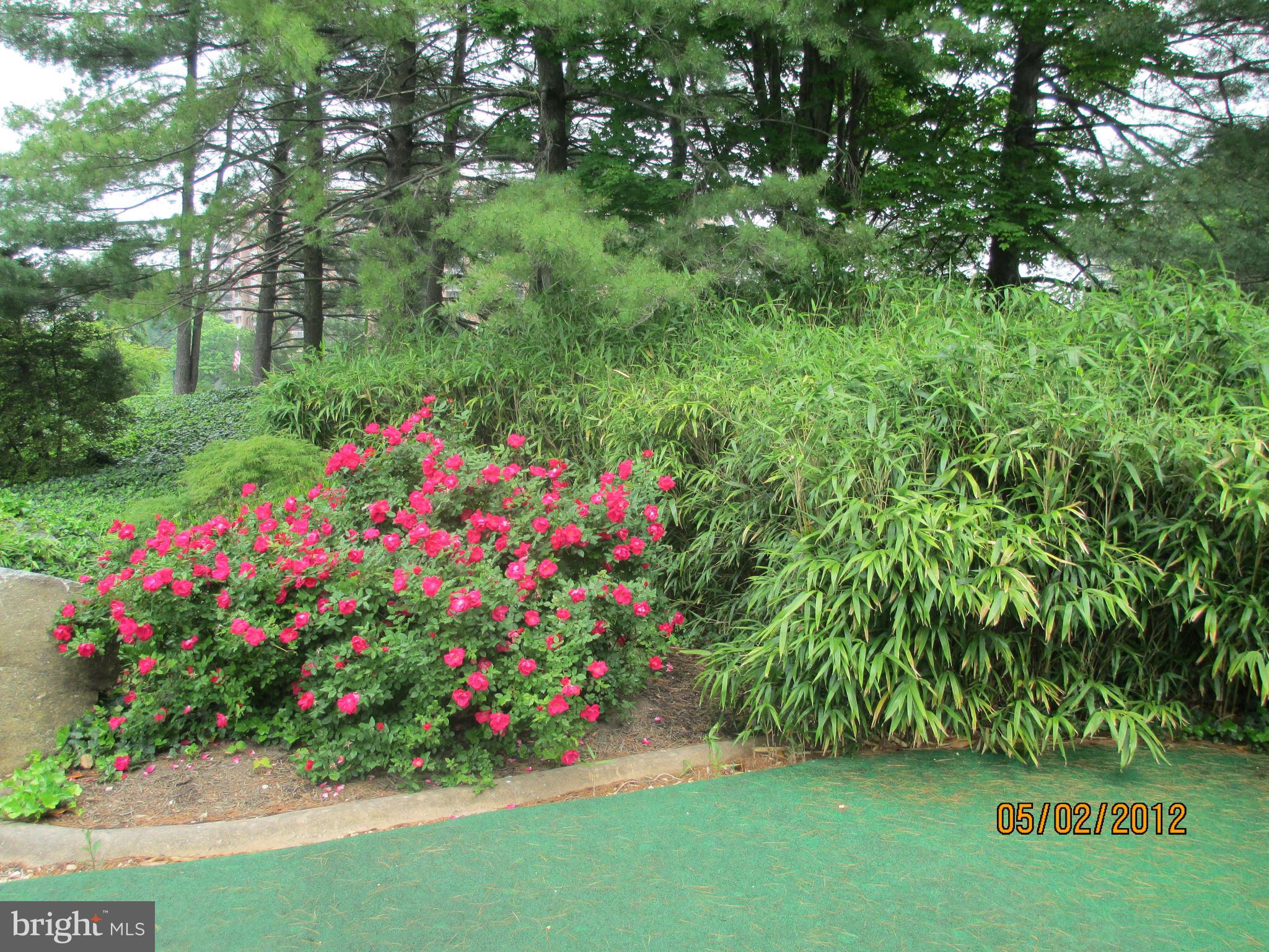 WATERGATE AT LANDMARK - Residential